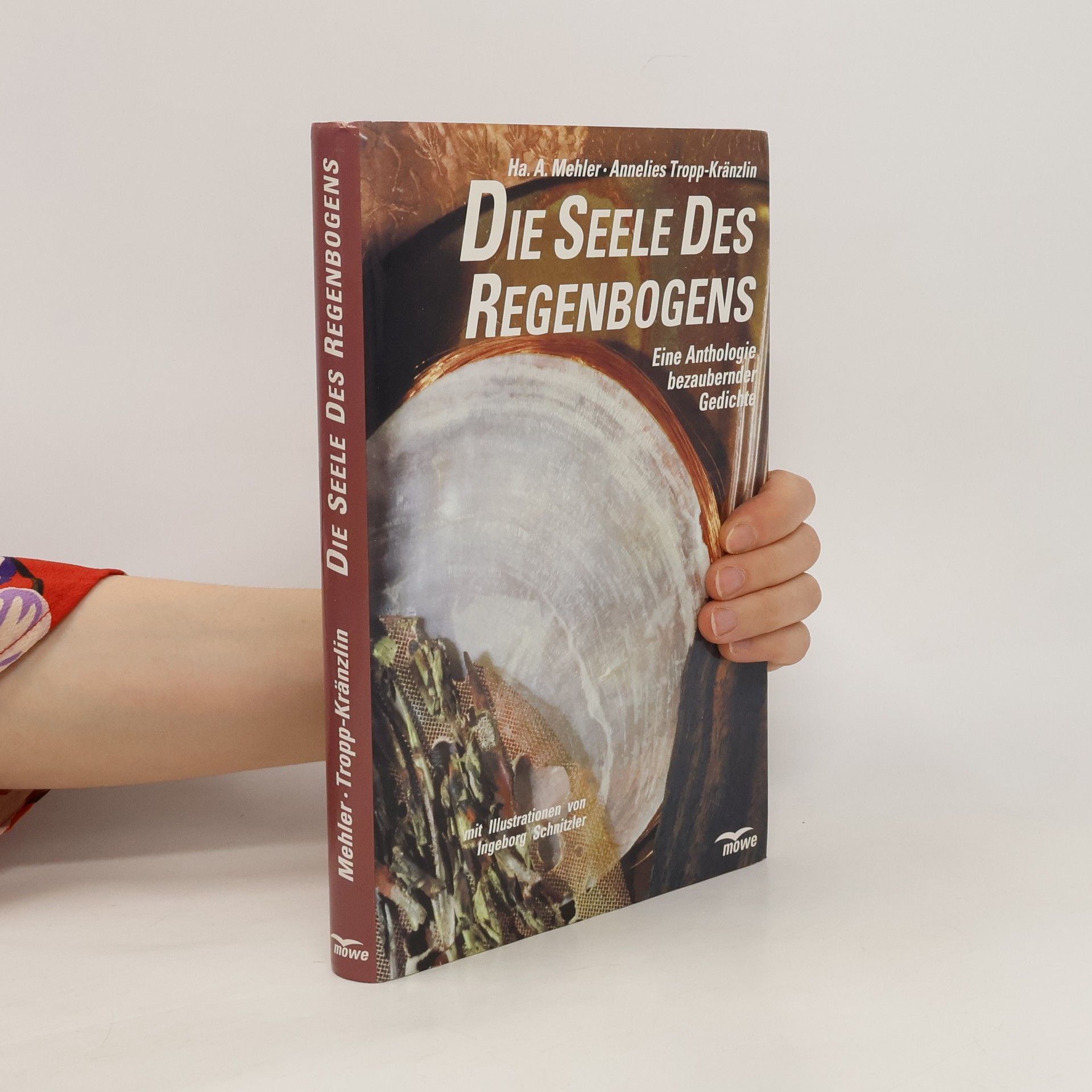 Horst A. Mehler Die Seele des Regenbogens