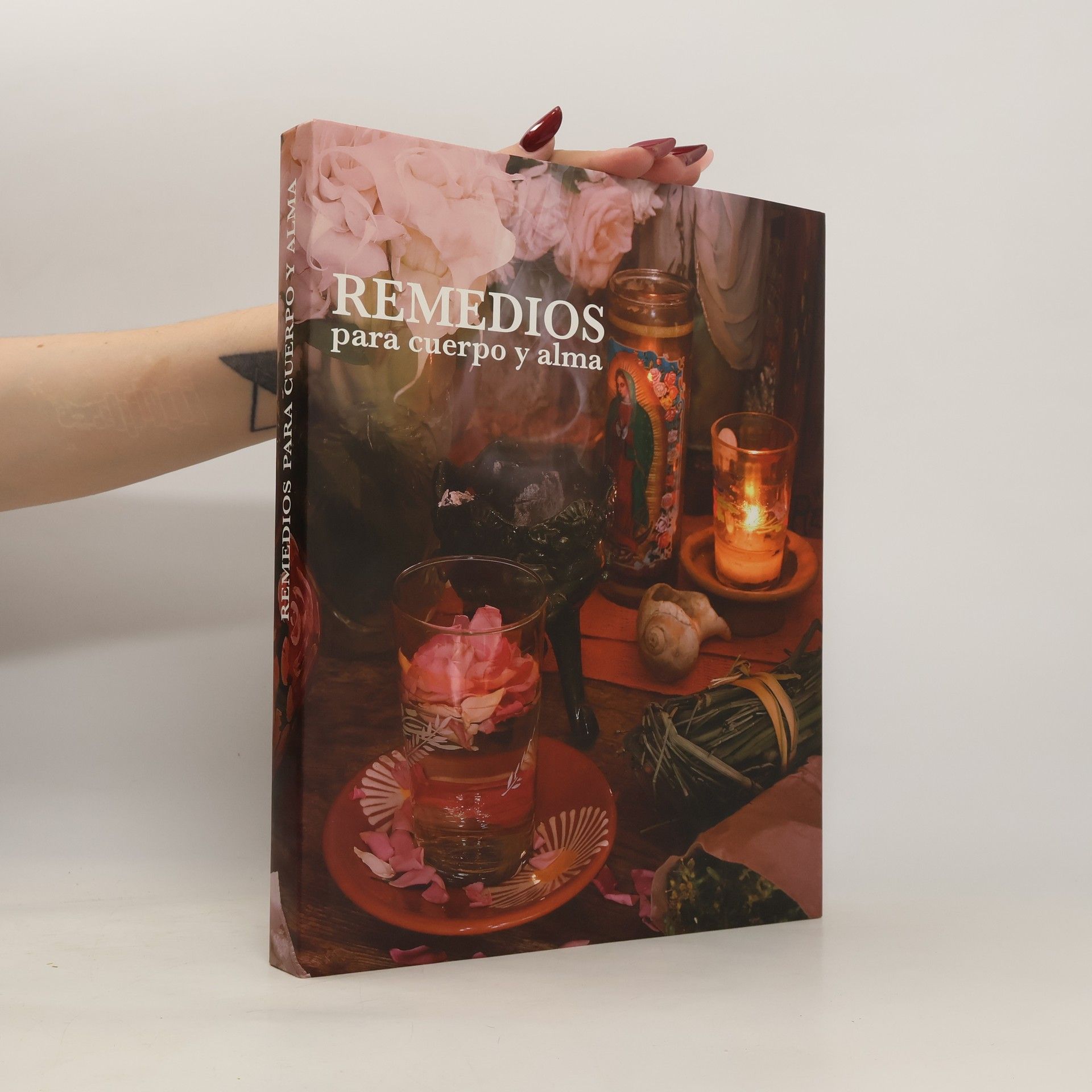 Autores varios Remedios para cuerpo y alma