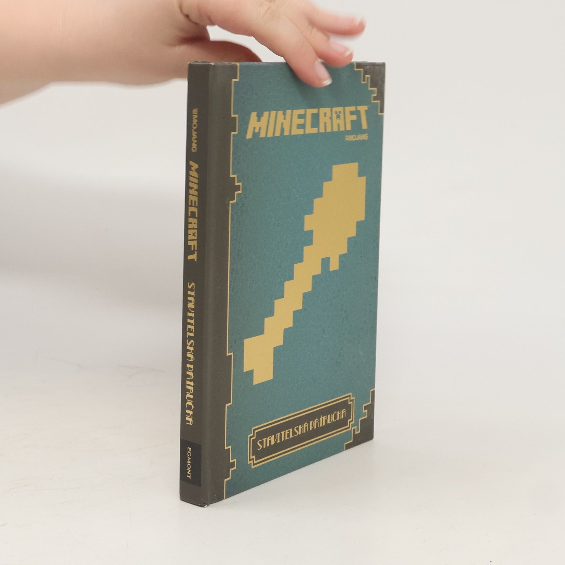 Matyáš Theodor Frydrych Minecraft: Stavitelská příručka