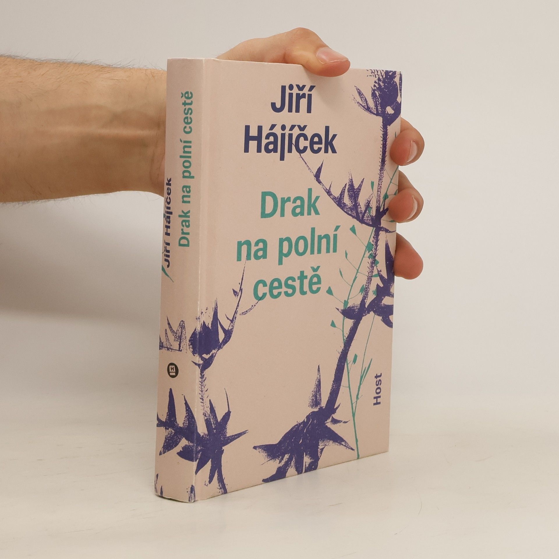 Jiří Hájíček Drak na polní cestě