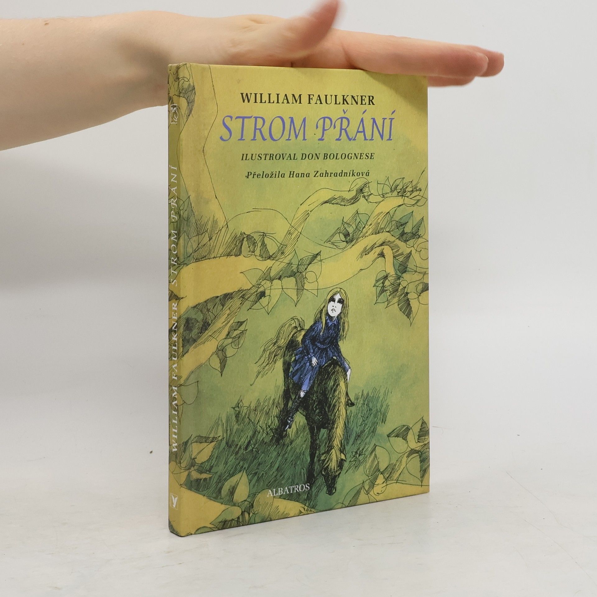 William Faulkner Strom přání