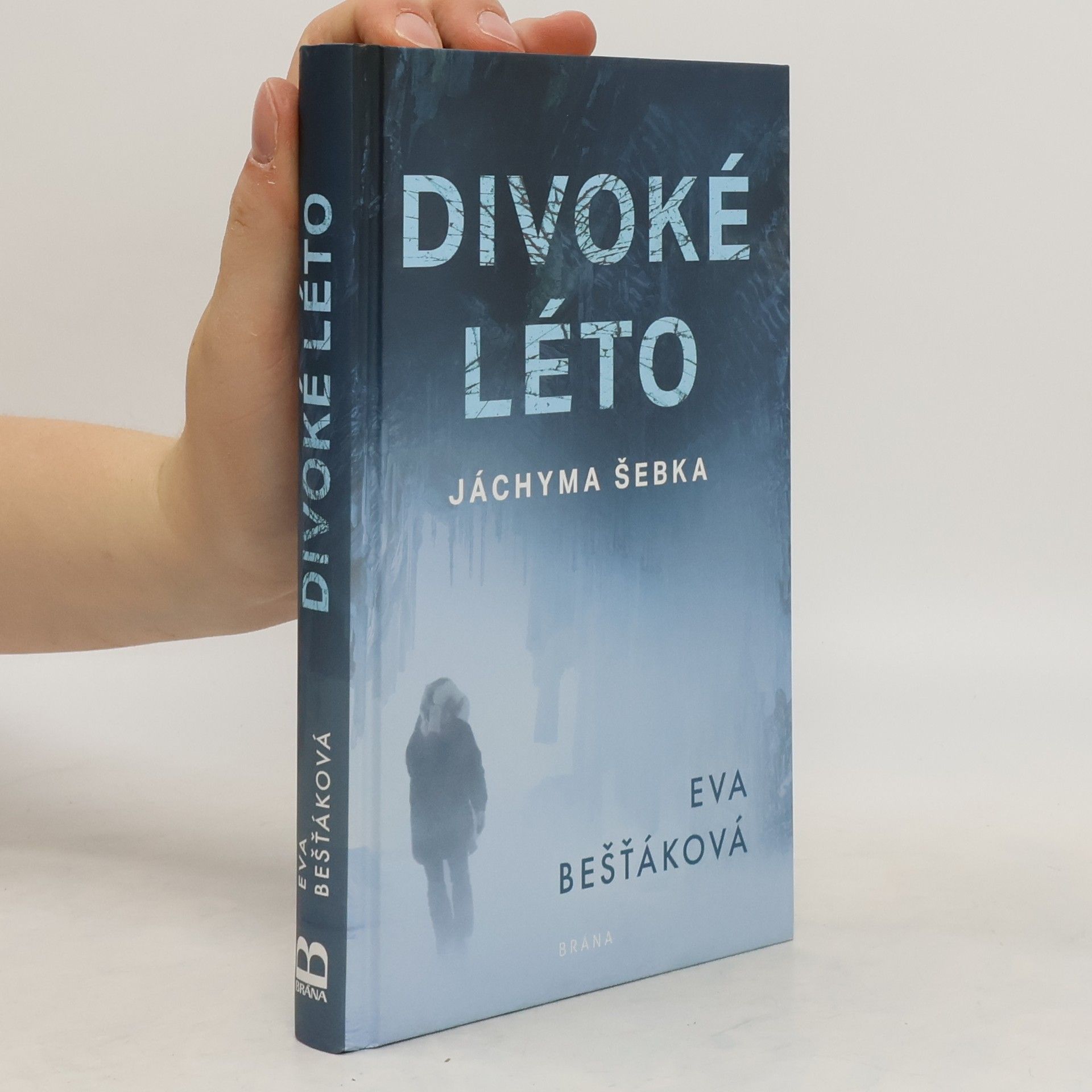 Eva Bešťáková Divoké léto Jáchyma Šebka