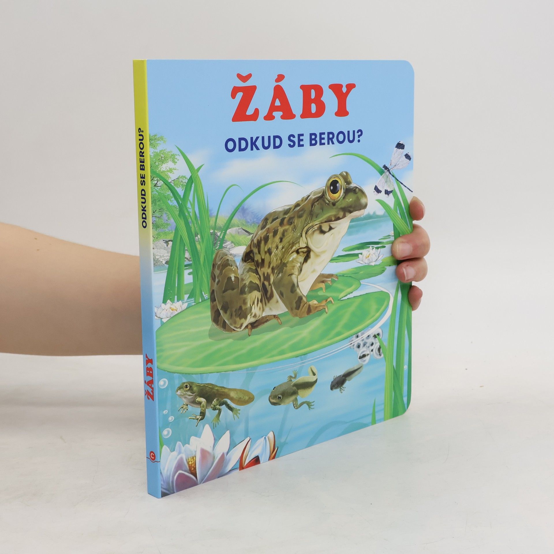 Autorenkollektiv Žáby - Odkud se berou?