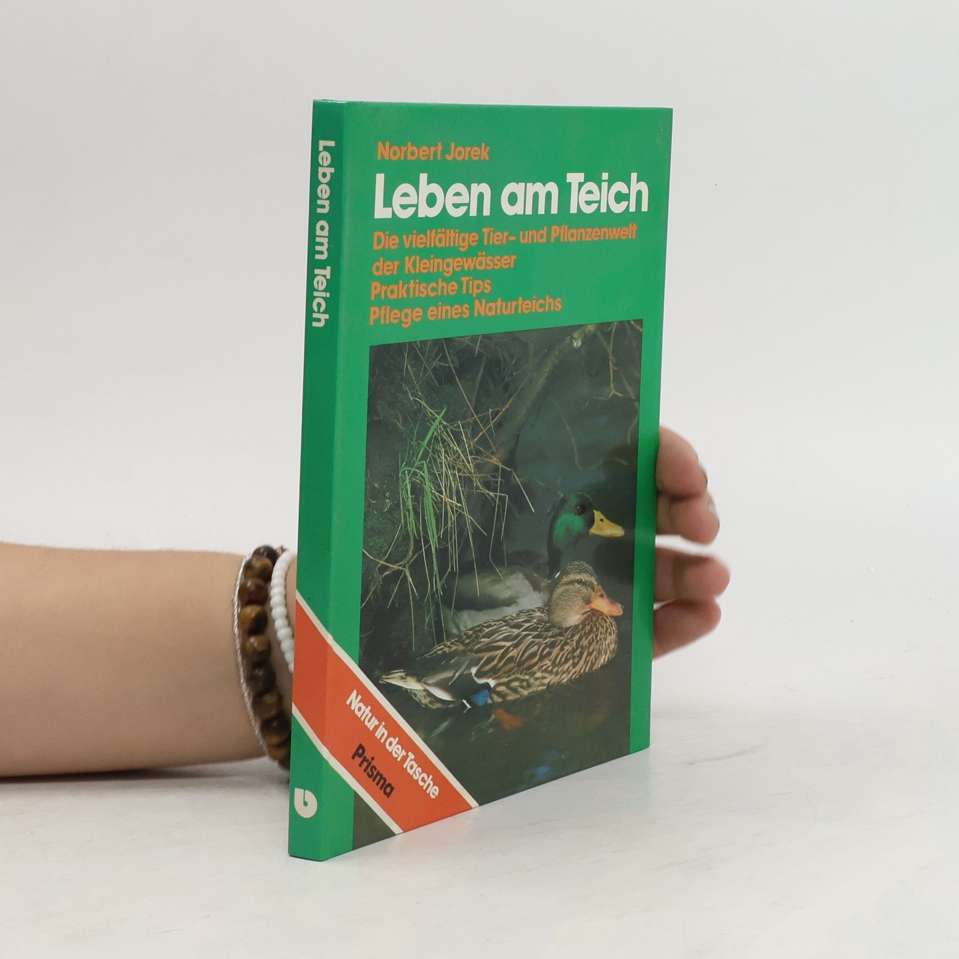 Norbert Jorek Leben am Teich