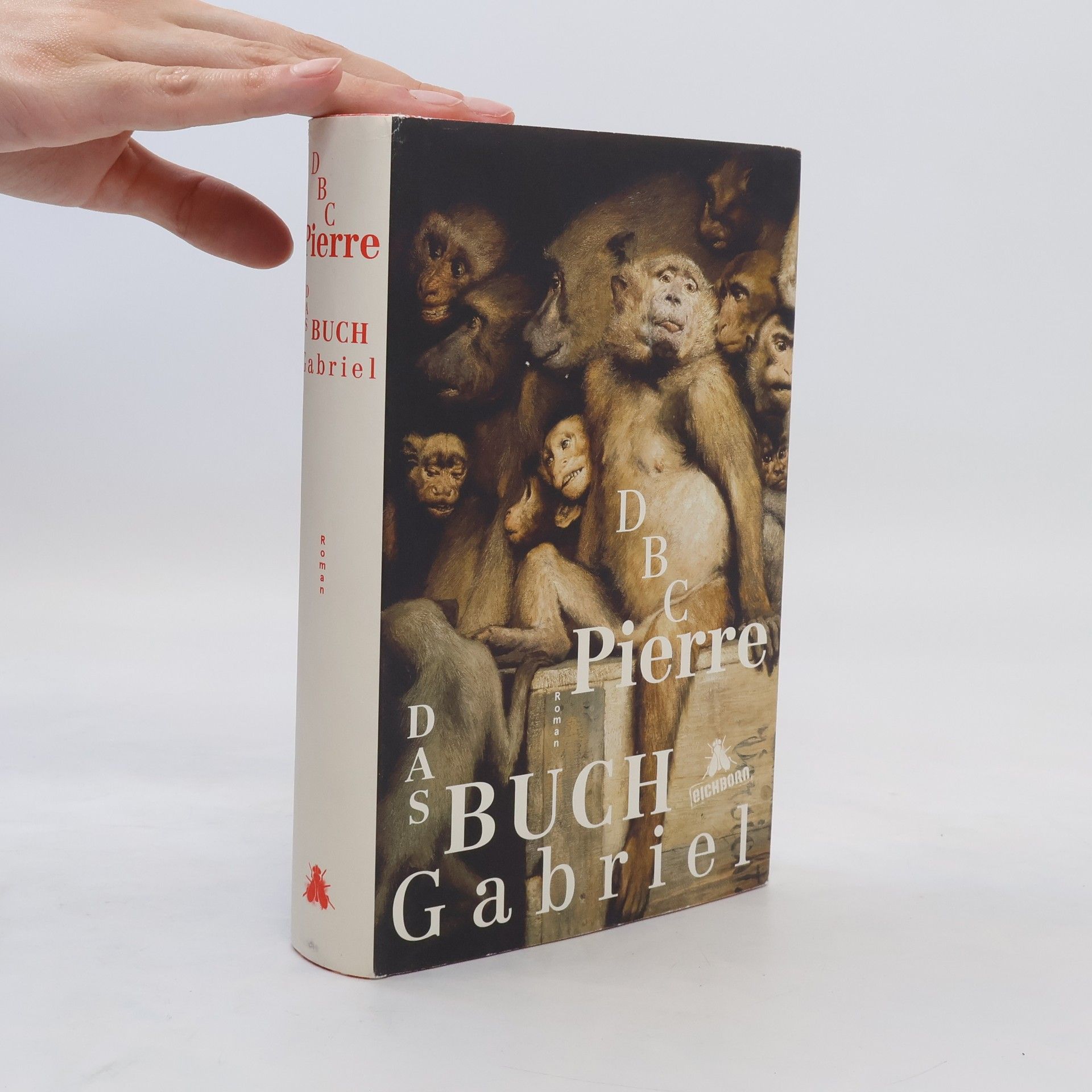 DBC Pierre Das Buch Gabriel