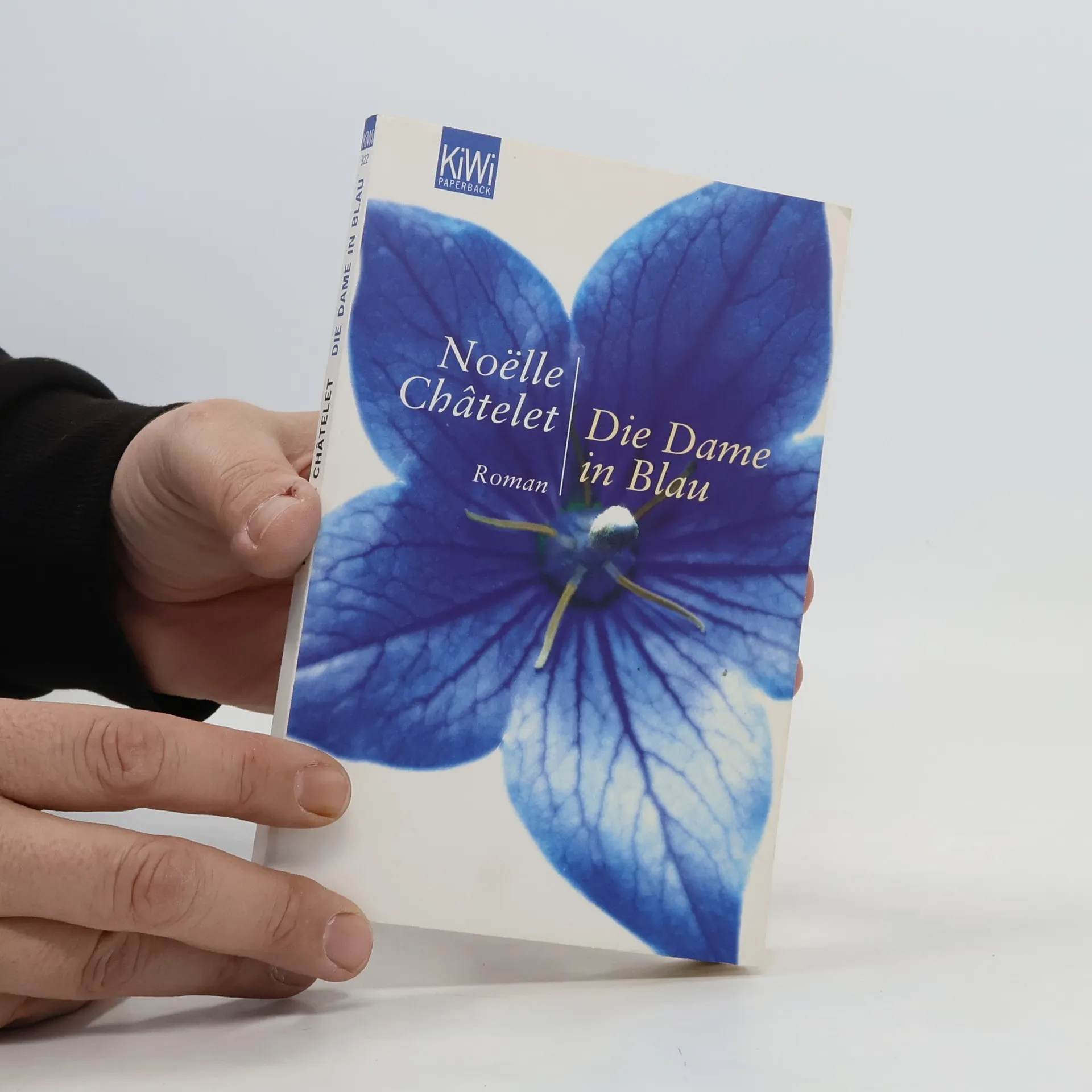 Die Dame in Blau | Book | Noëlle Châtelet | DE