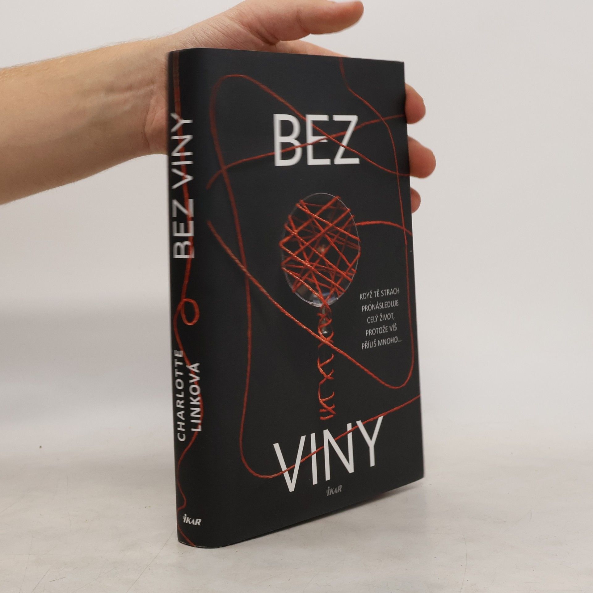 Charlotte Link Bez viny