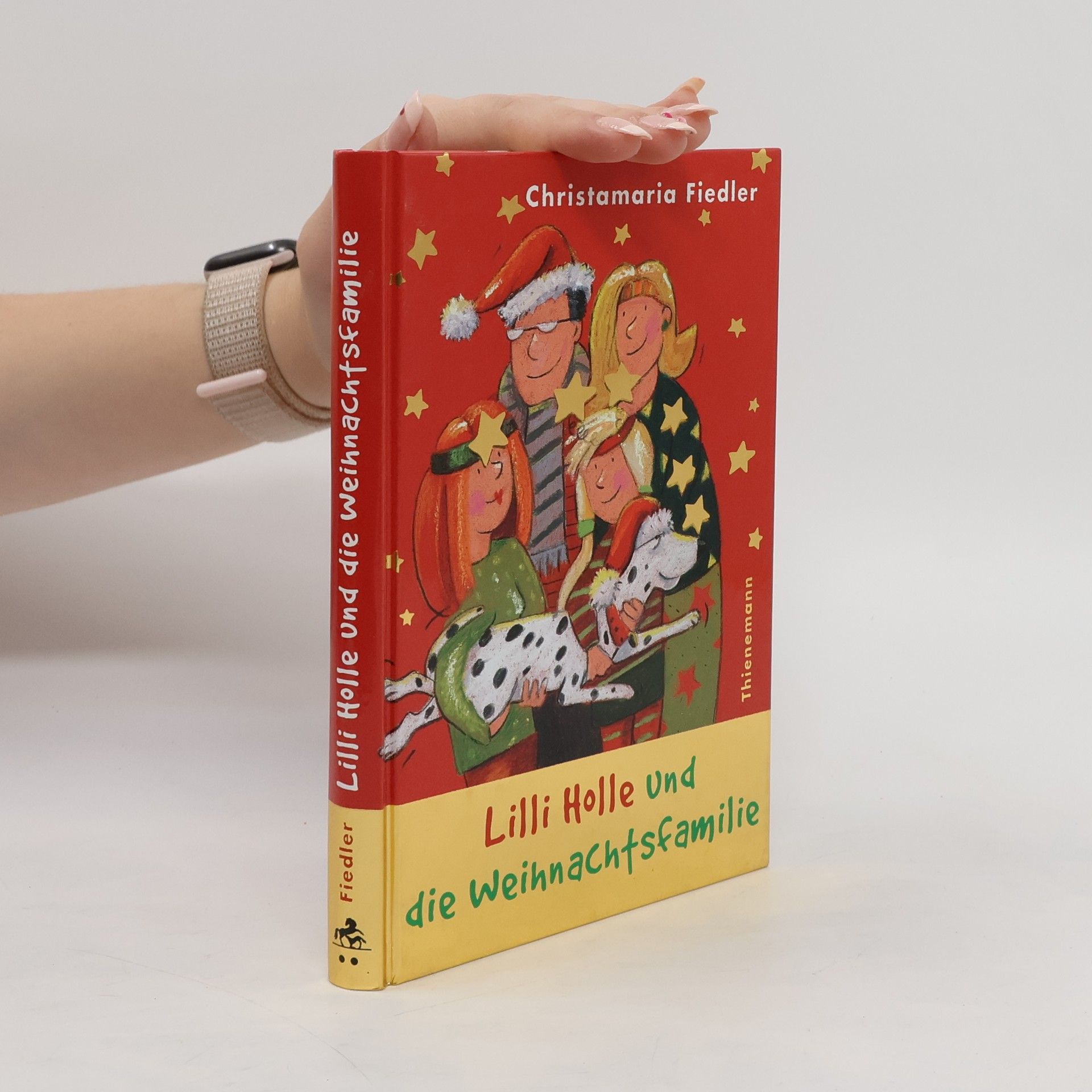 Christamaria Fiedler Lilli Holle und die Weihnachtsfamilie