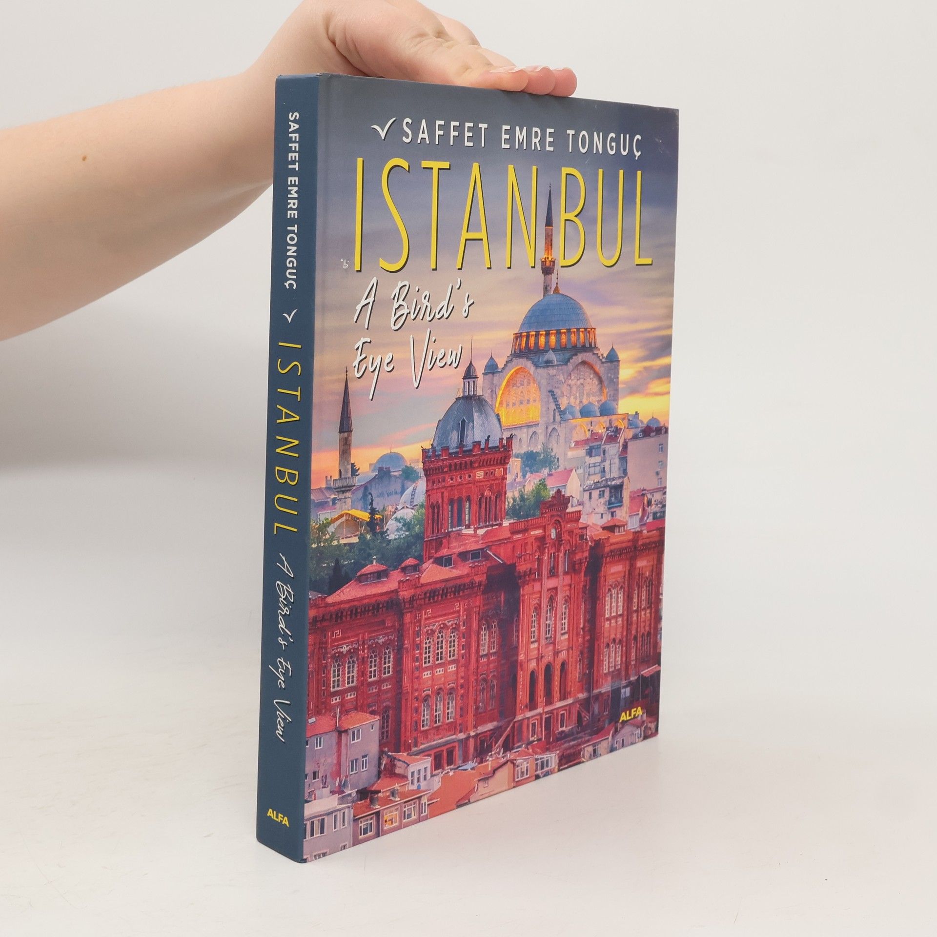 Saffet Emre Tonguc Istanbul: A Bird's Eye View