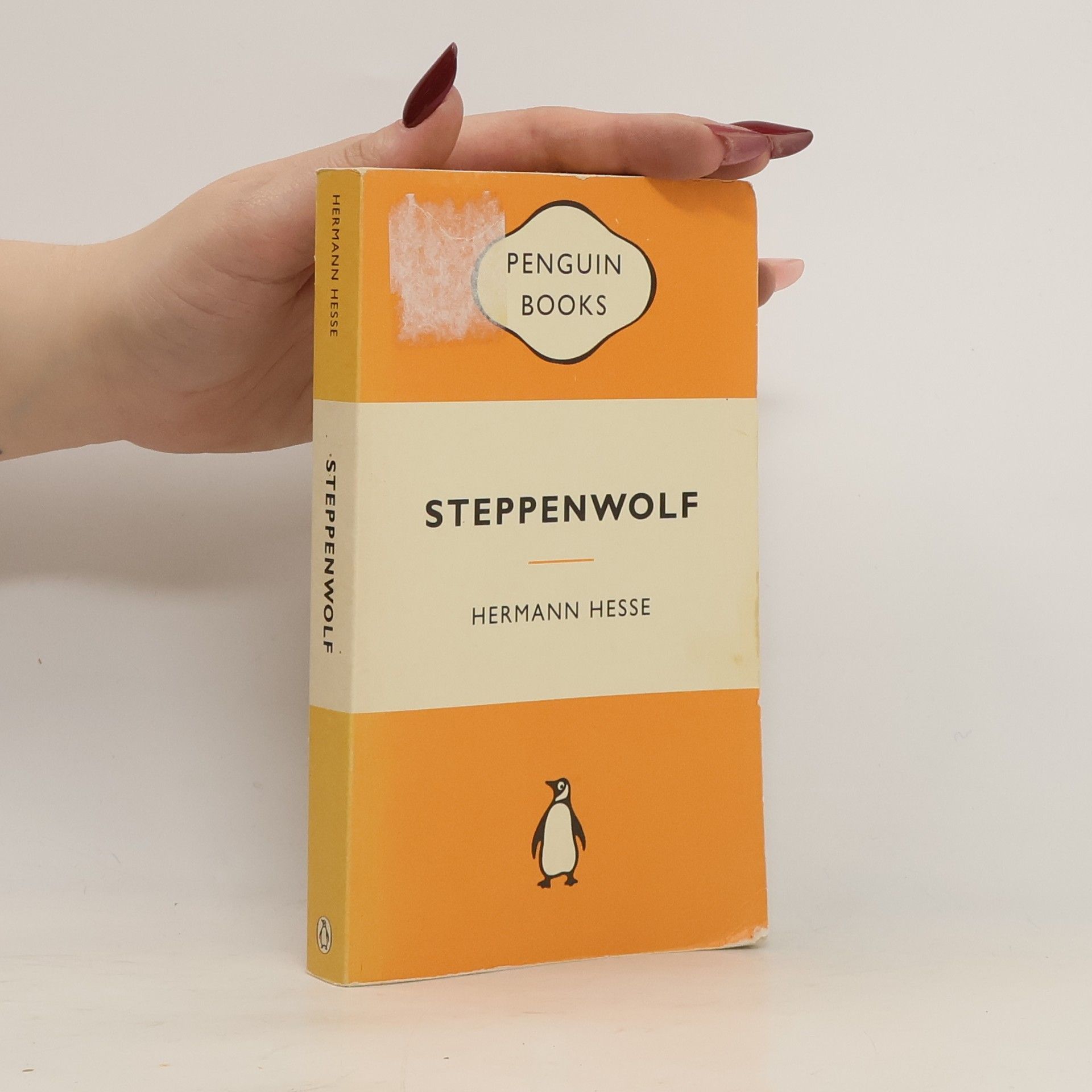 Hermann Hesse Steppenwolf