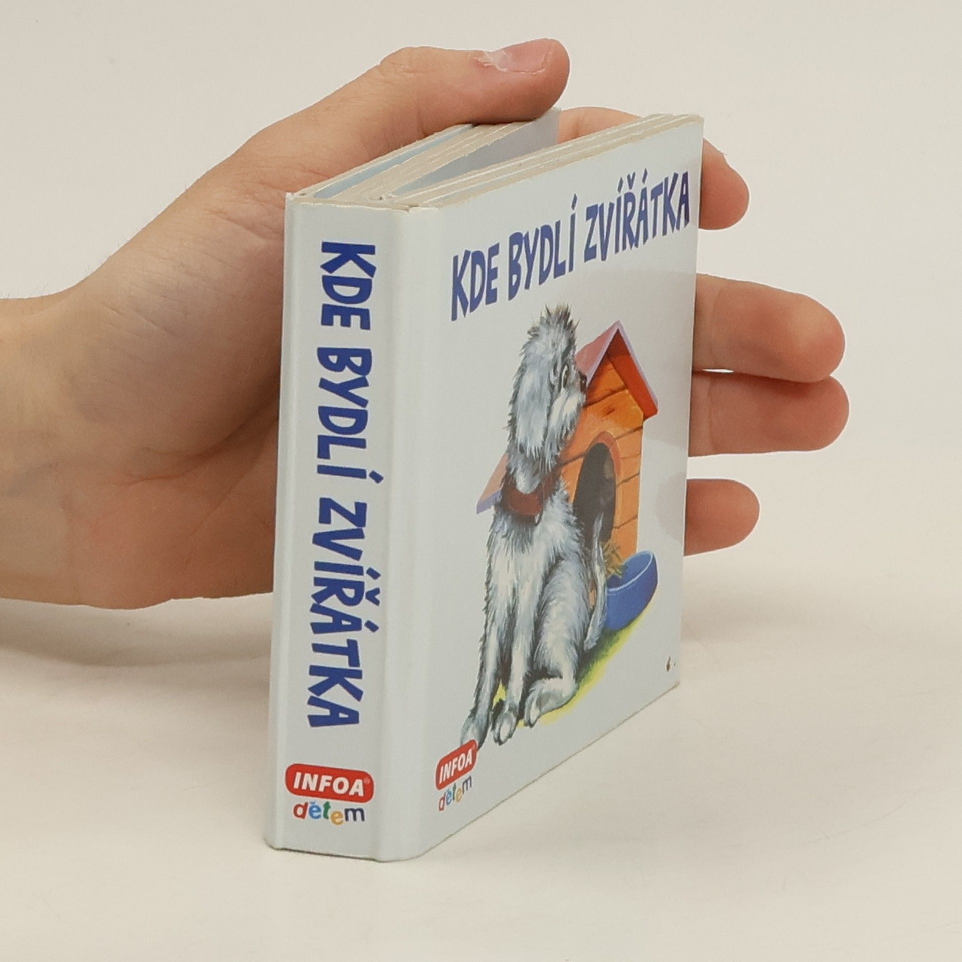 Andrzej Kłapyta Kde bydlí zvířátka
