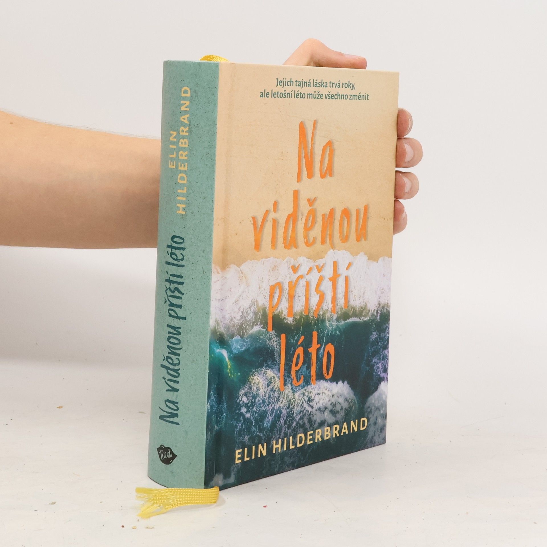 Elin Hilderbrand Na viděnou příští léto