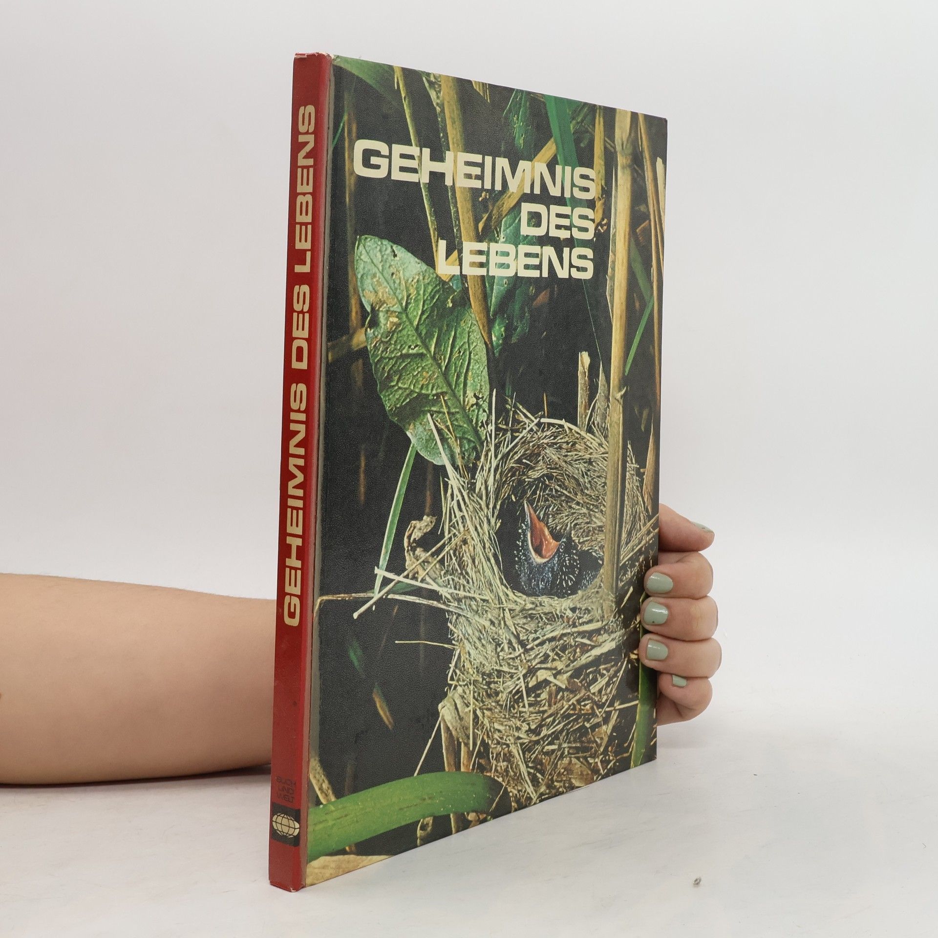 kolektiv Geheimnis des Lebens