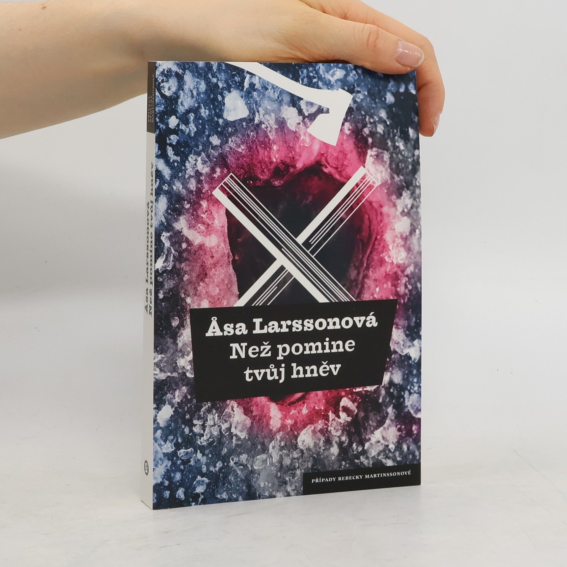 Åsa Larsson Než pomine tvůj hněv