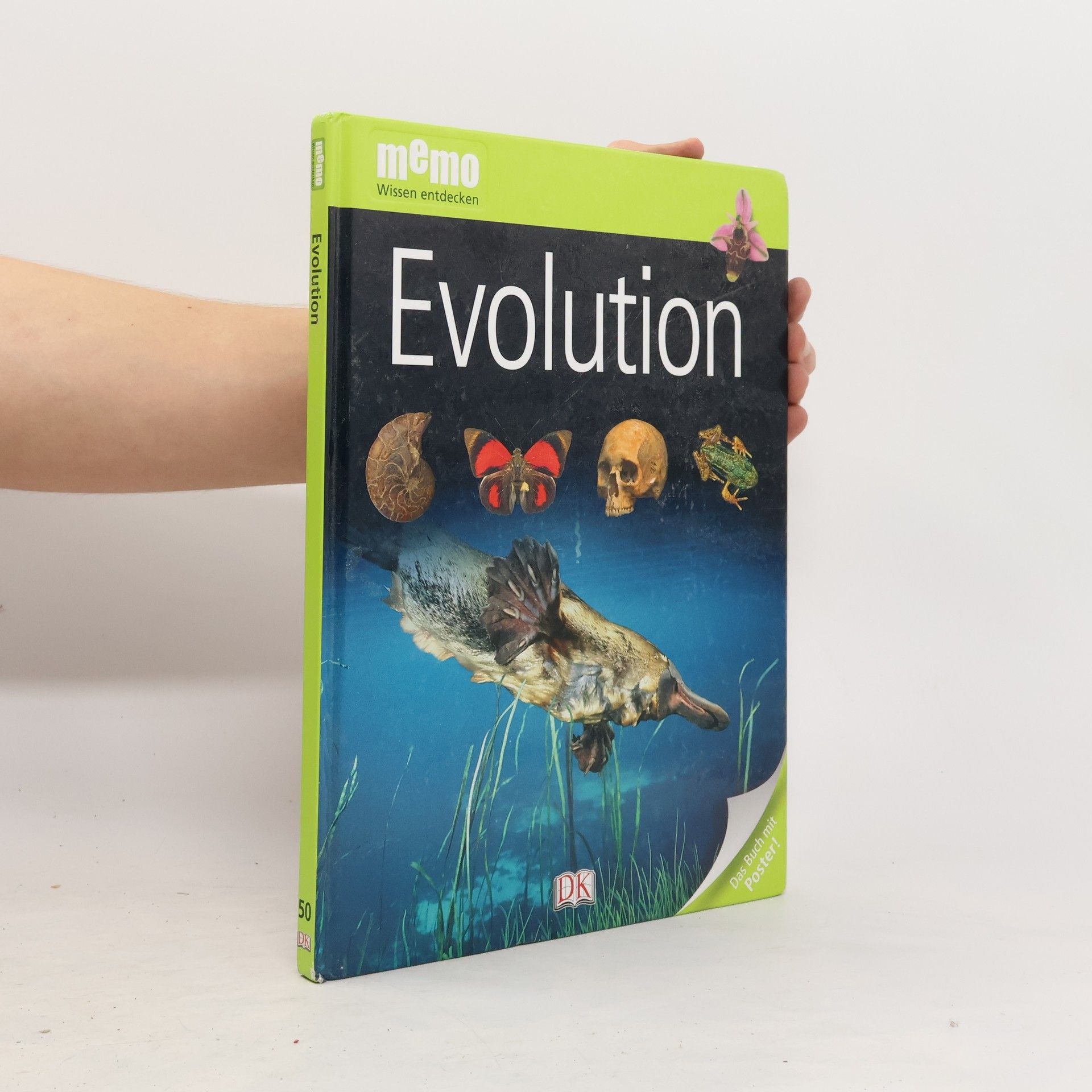 Linda Gamlin Evolution