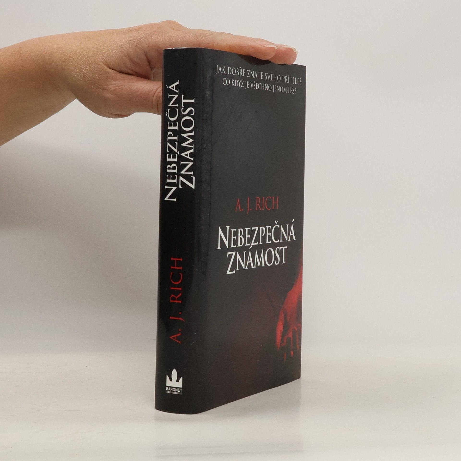 A. J. Rich Nebezpečná známost