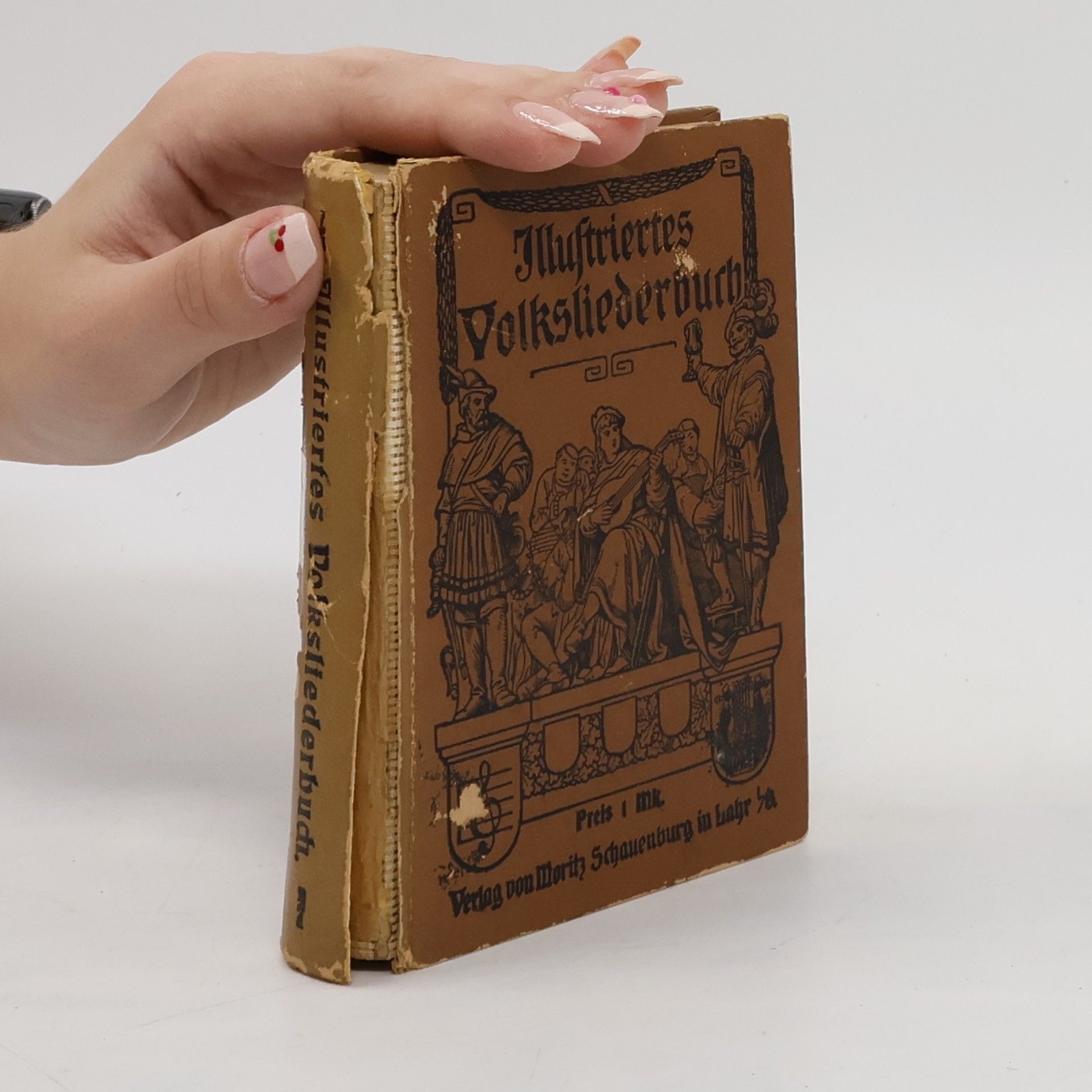 Autorenkollektiv Illustrirtes Volksliederbuch