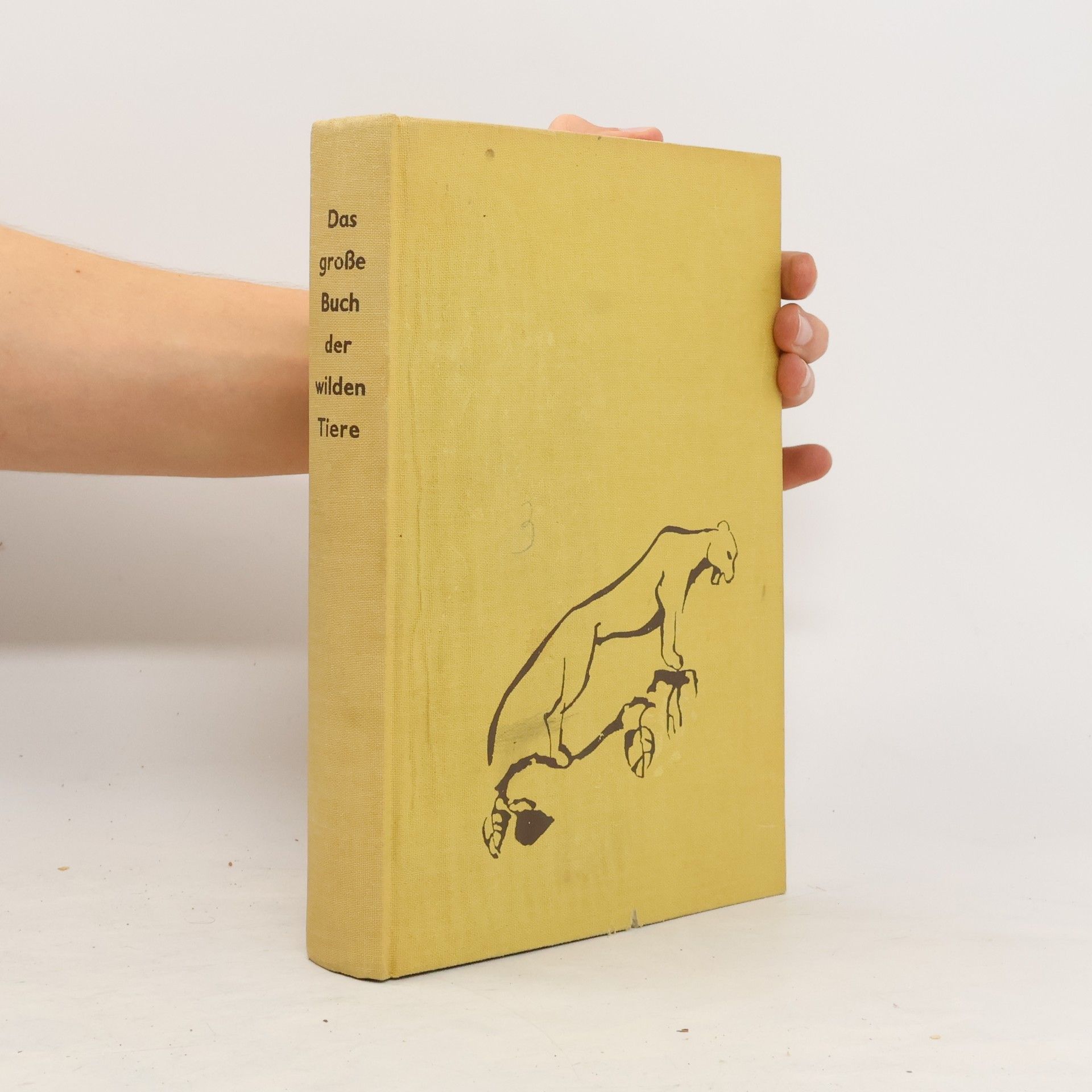 kolektiv Das grosse Buch der wilden Tiere