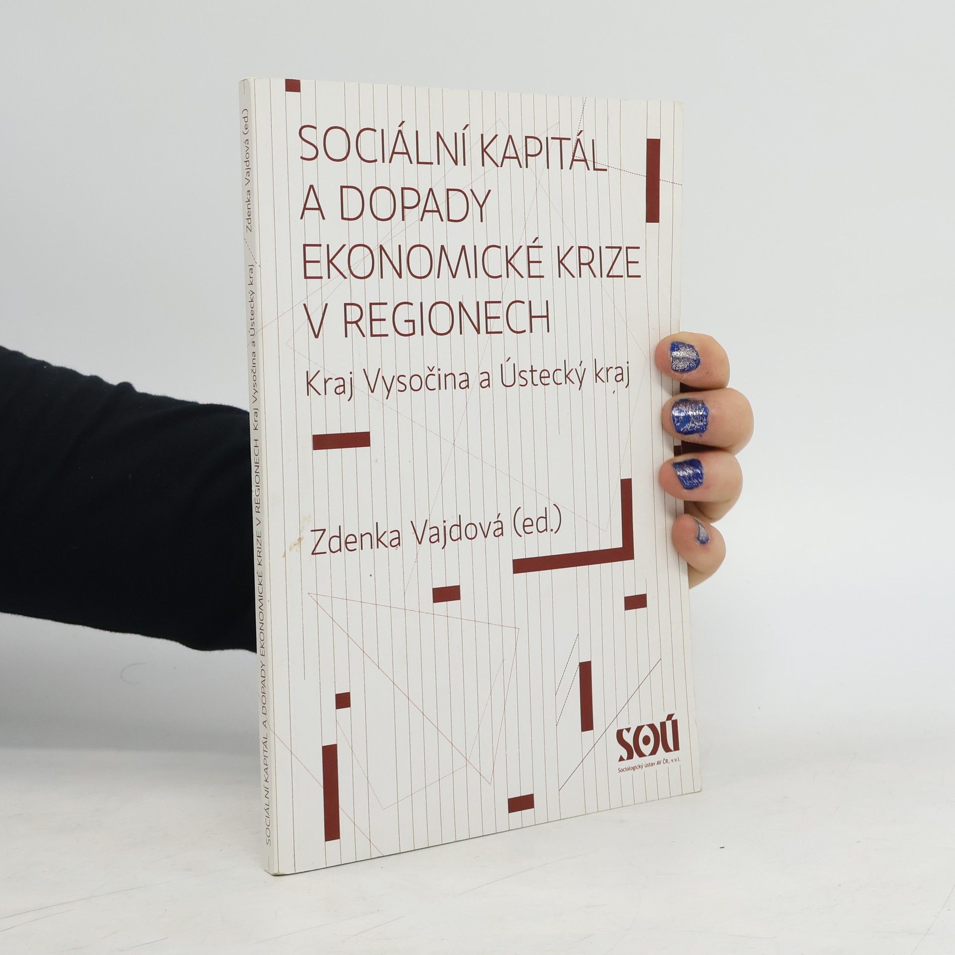 Zdenka Vajdová Sociální kapitál a dopady ekonomické krize v regionech : kraj Vysočina a Ústecký kraj