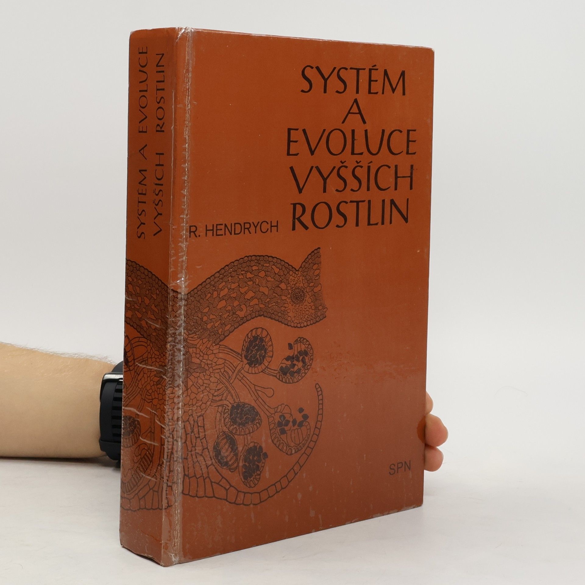 Radovan Hendrych Systém a evoluce vyšších rostlin