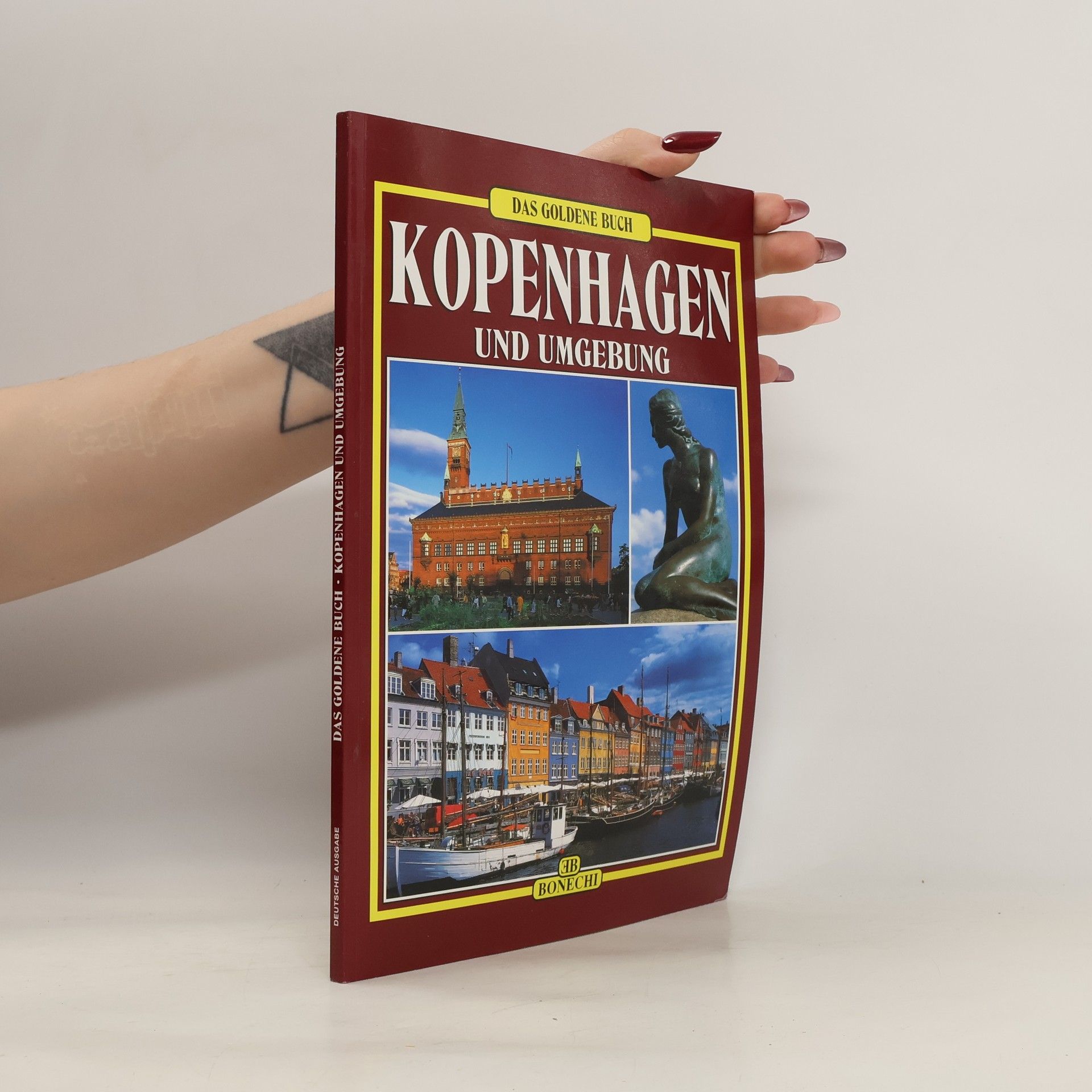 Patrizia Fabbri Das goldene Buch Kopenhagen und Umgebung