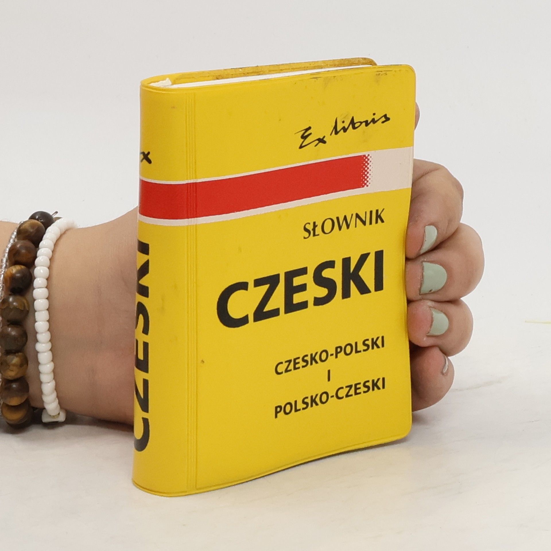 Józef Zarek Słownik Czeski