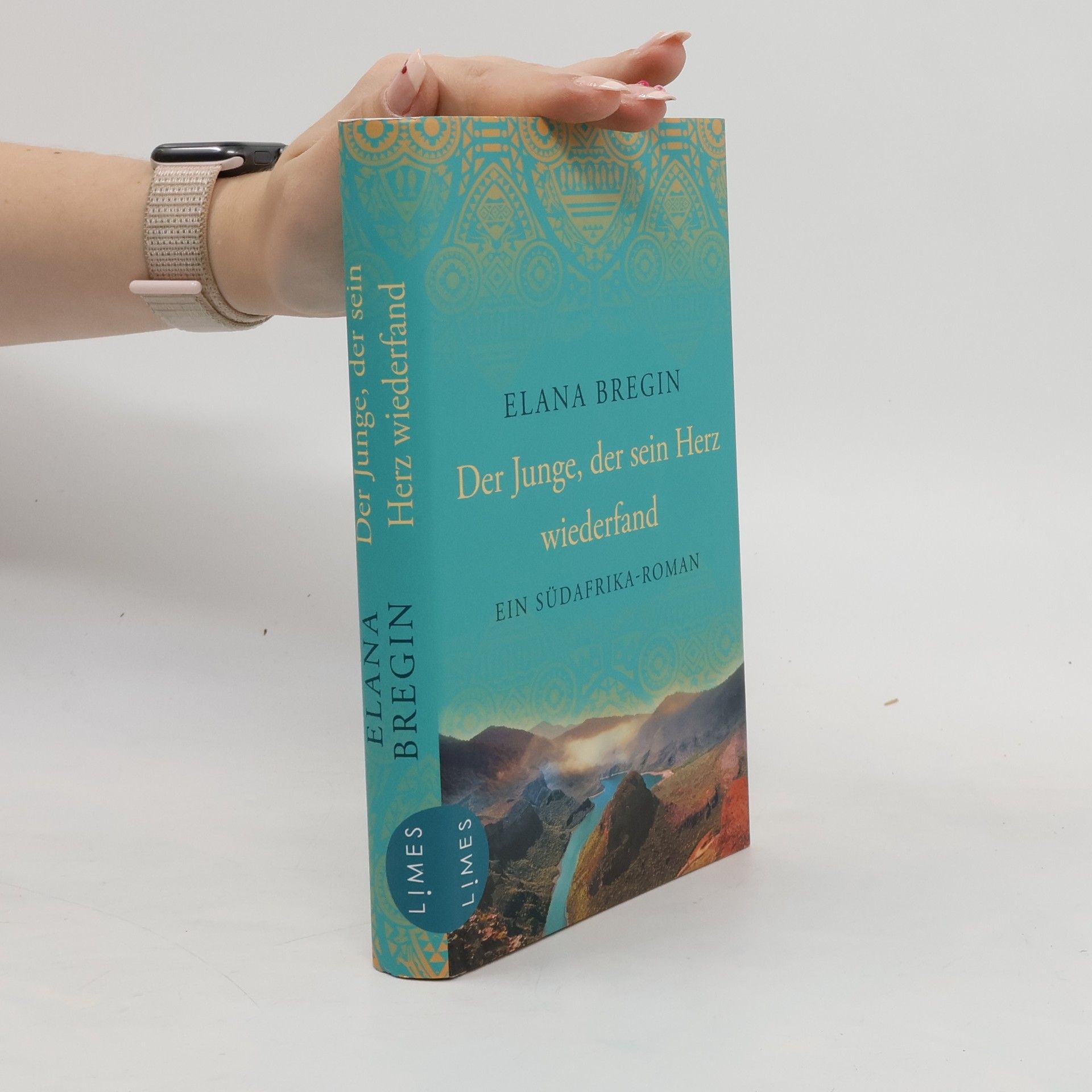 Elana Bregin Der Junge, der sein Herz wiederfand