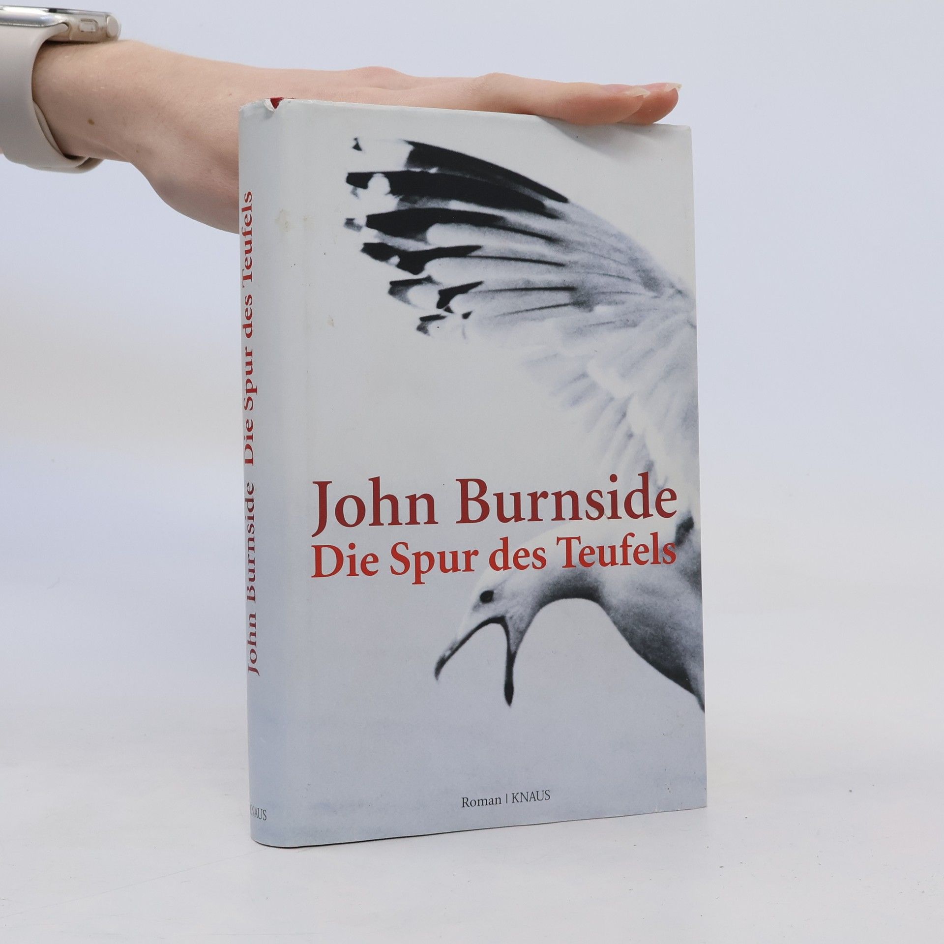 John Burnside Die Spur des Teufels