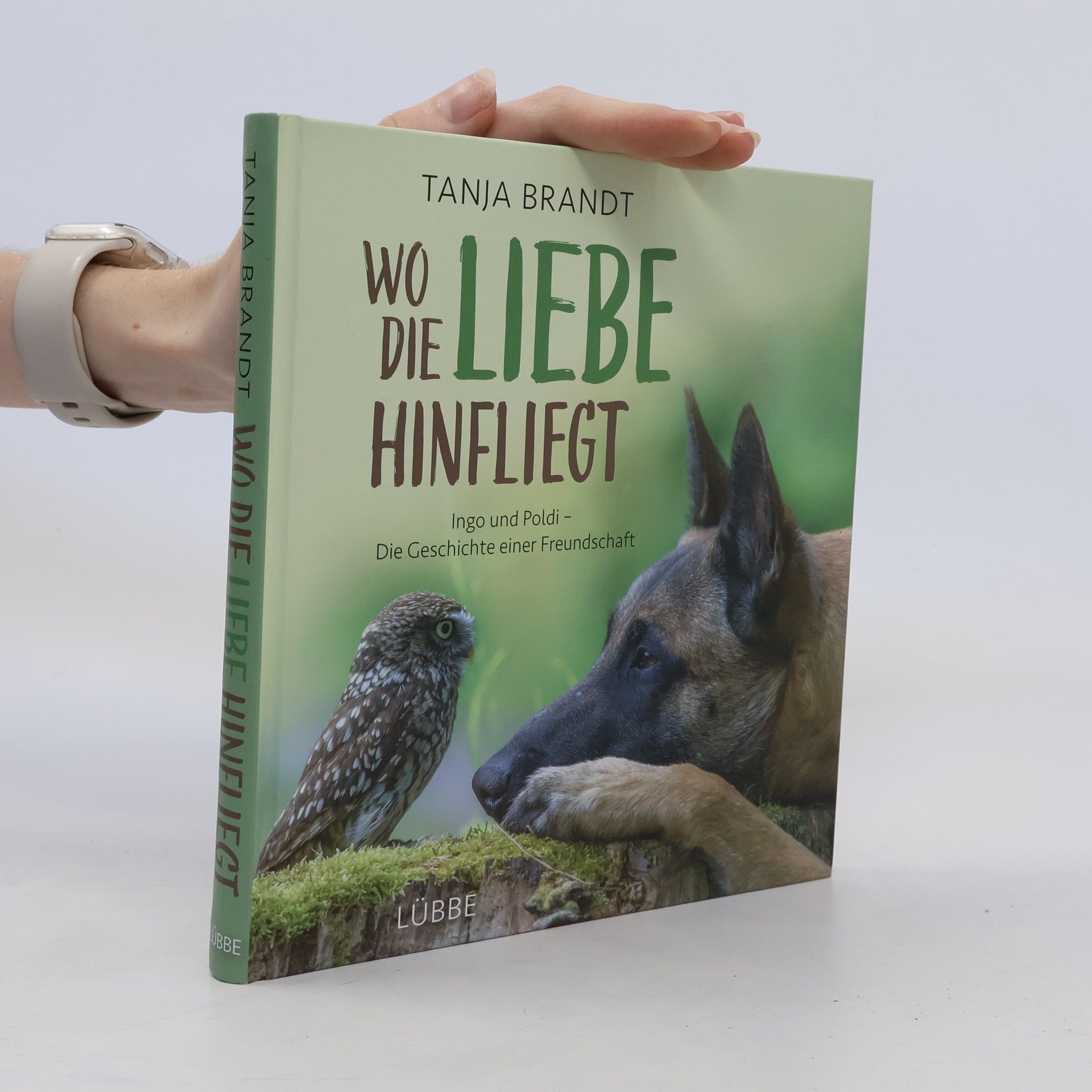 Tanja Brandt Wo die Liebe hinfliegt