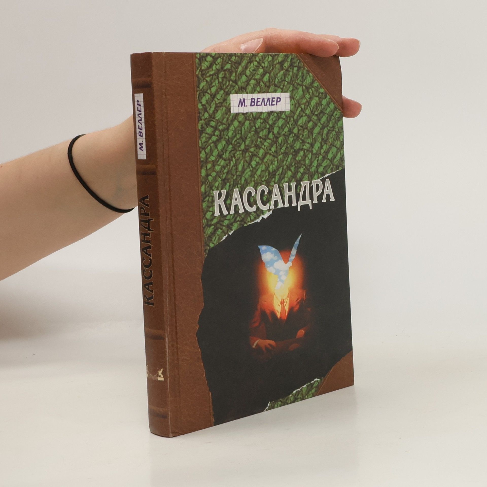 Веллер Михаил Кассандра