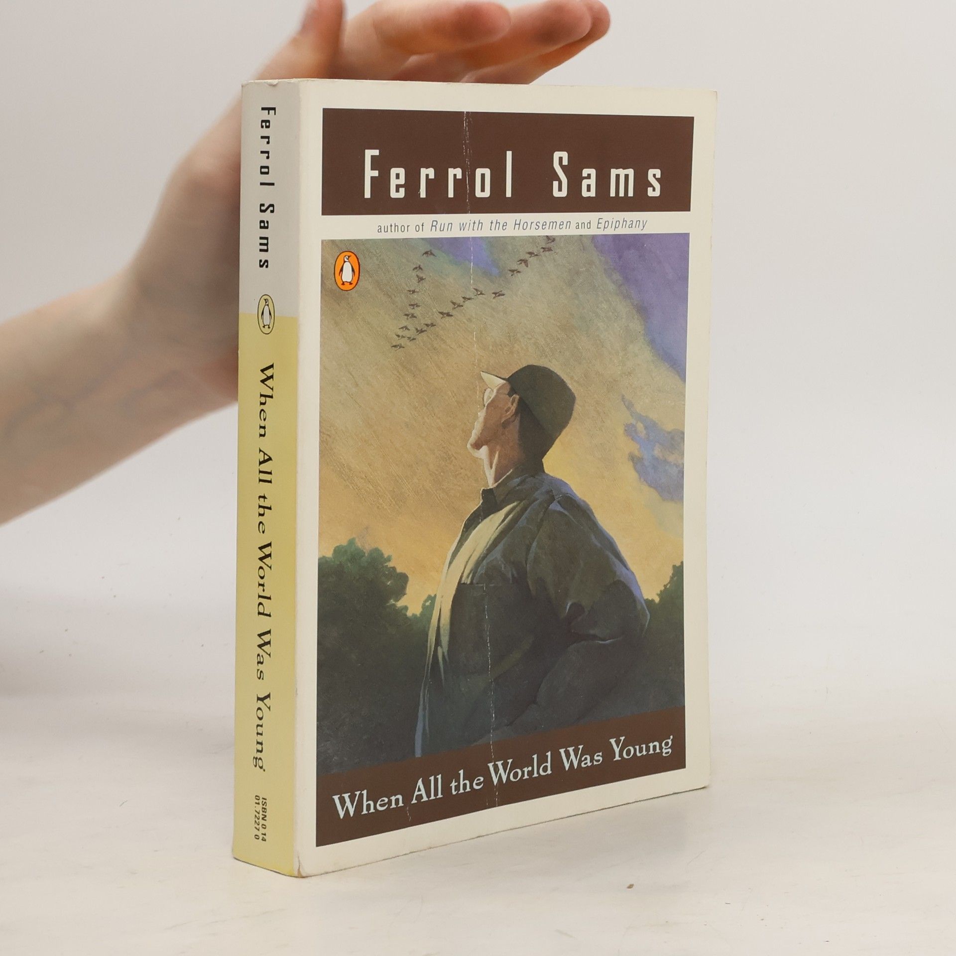 Ferrol Sams When All the World Was Young