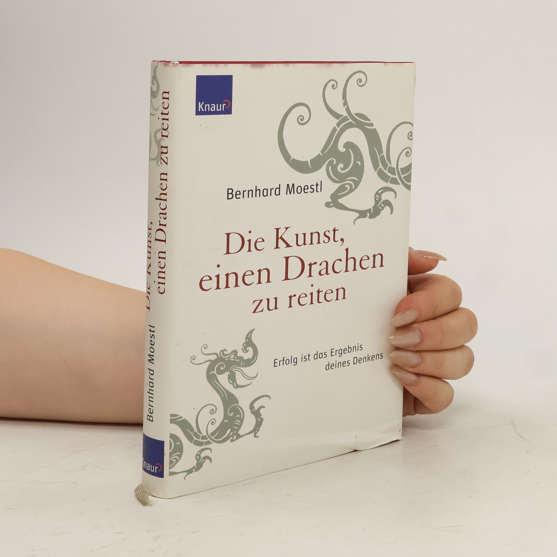 Bernhard Moestl Die Kunst, einen Drachen zu reiten