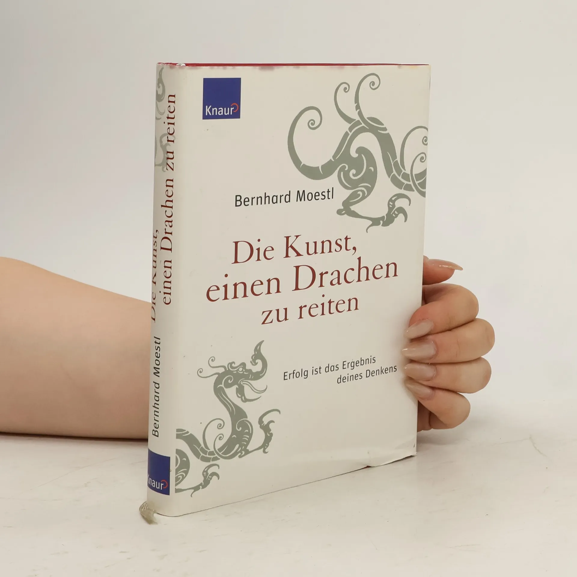 Die Kunst, einen Drachen zu reiten | Buch | Bernhard Moestl