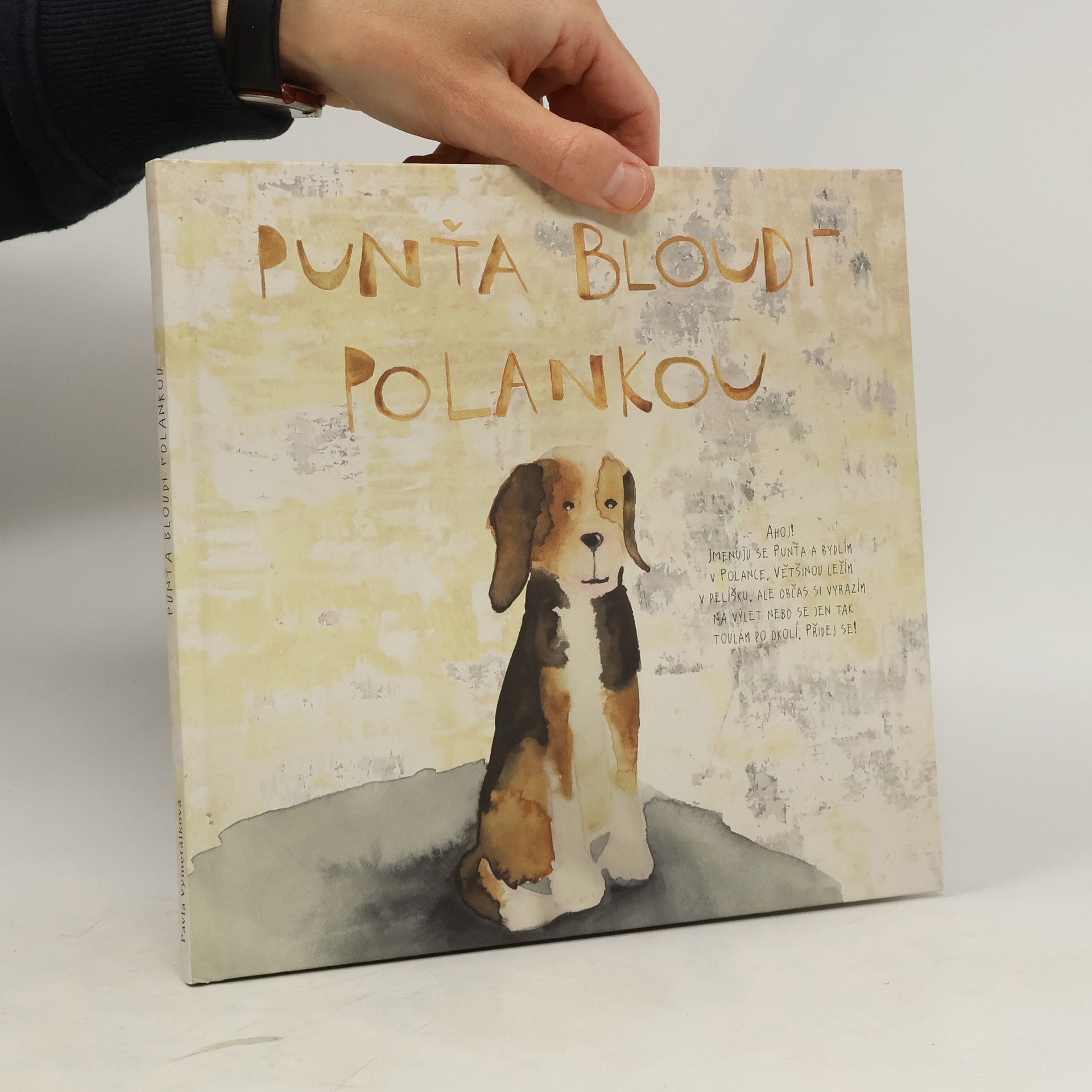 Pavla Vymetálková Punťa bloudí Polankou