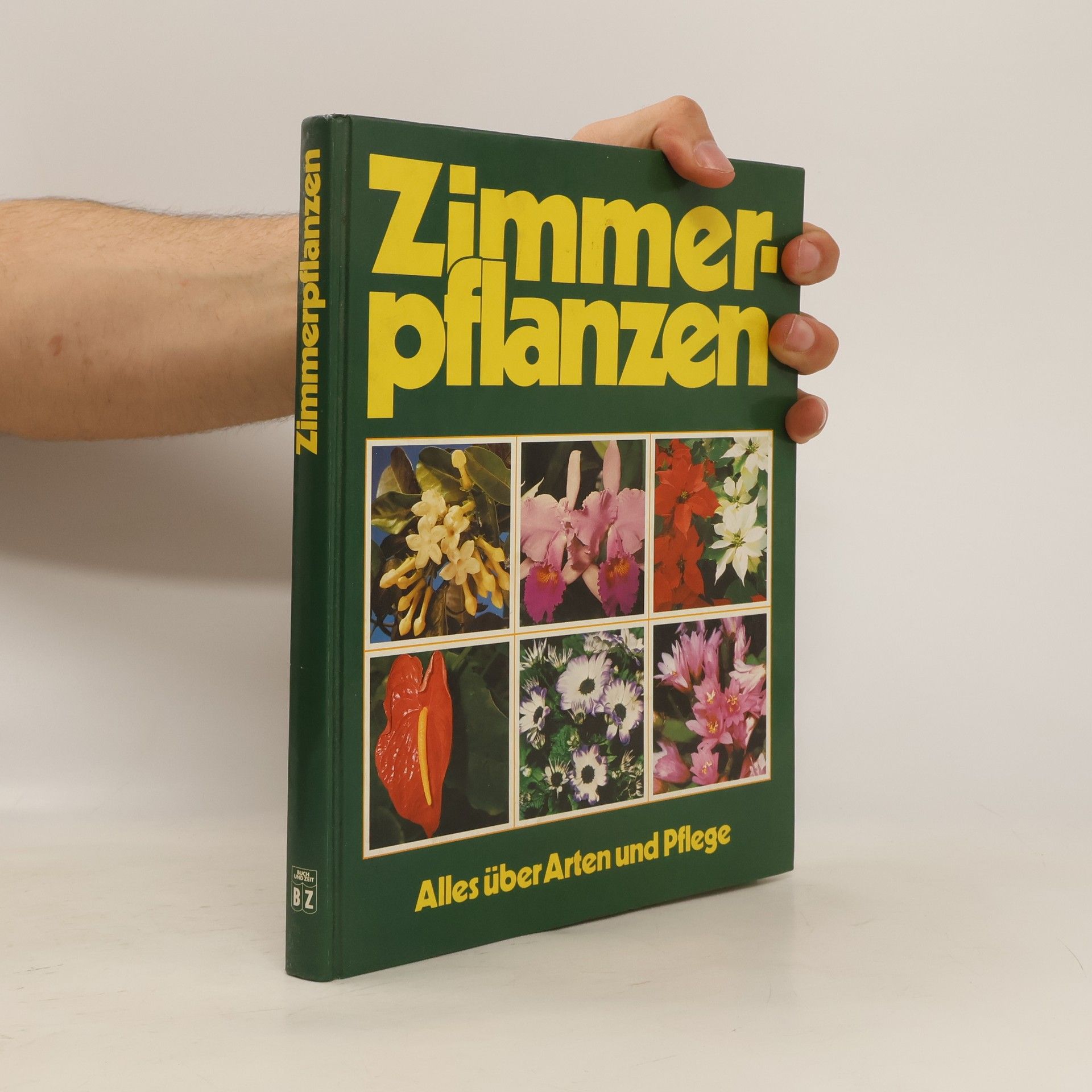 Notger Kiesel Zimmerpflanzen