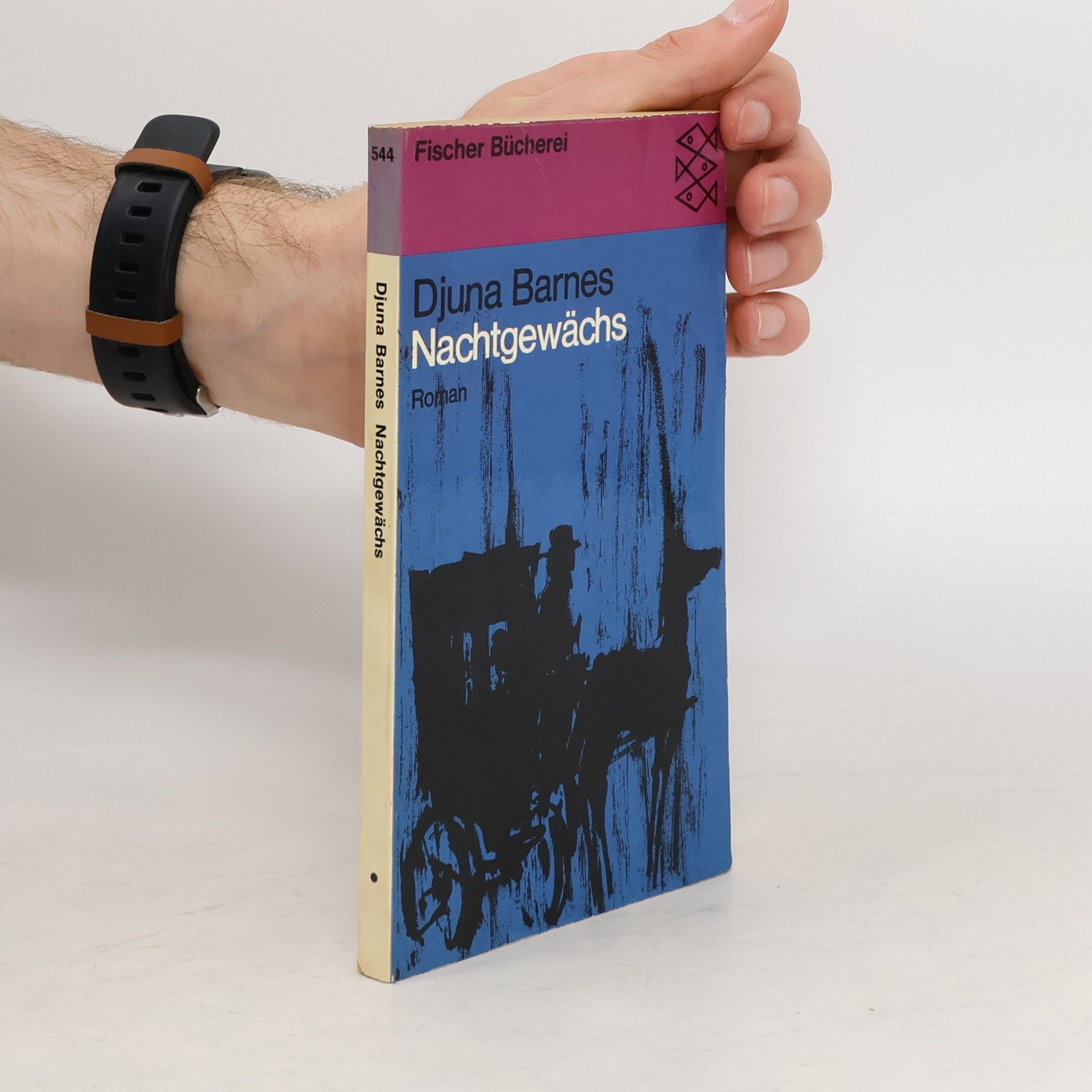 Djuna Barnes Nachtgewächs