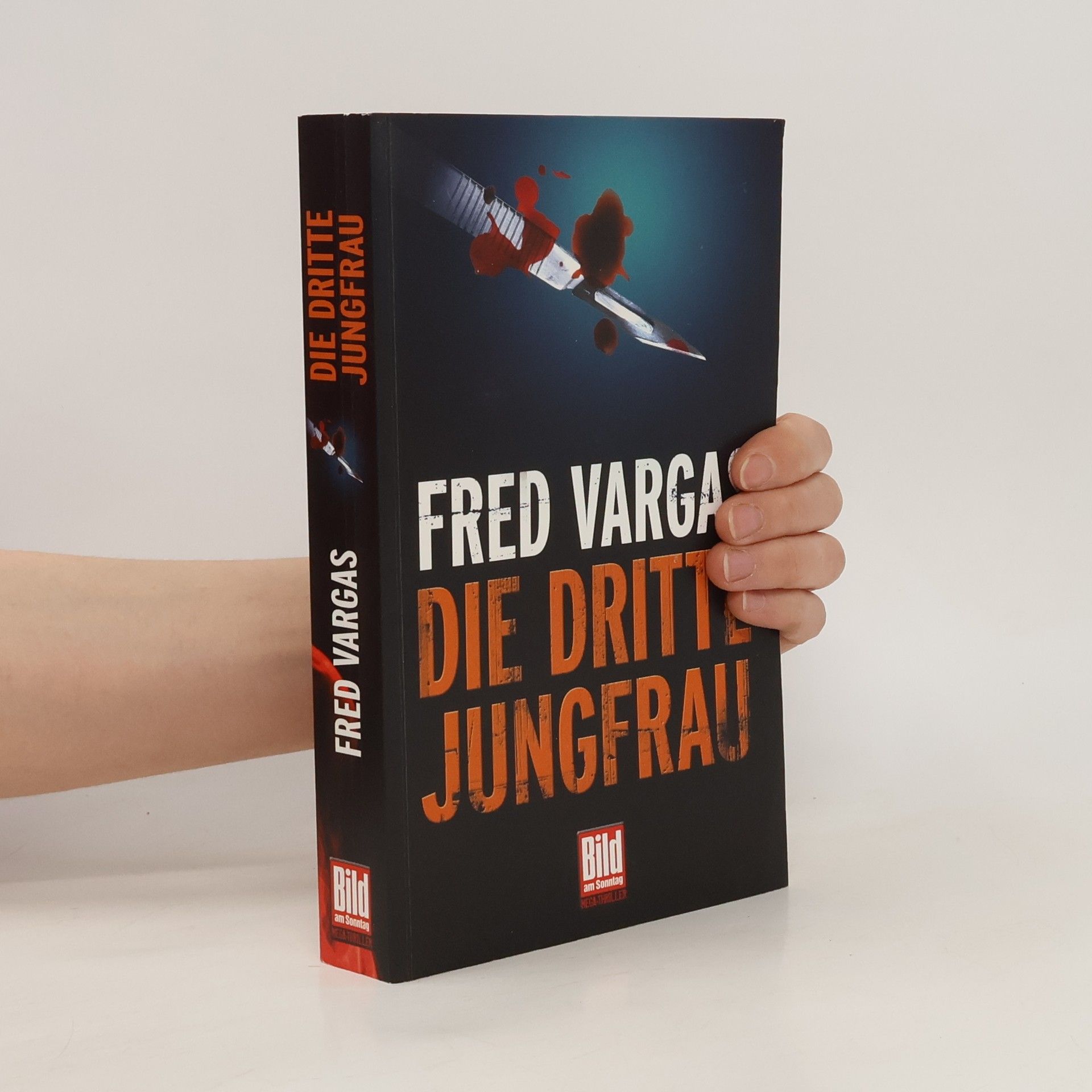 Fred Vargas Die dritte Jungfrau