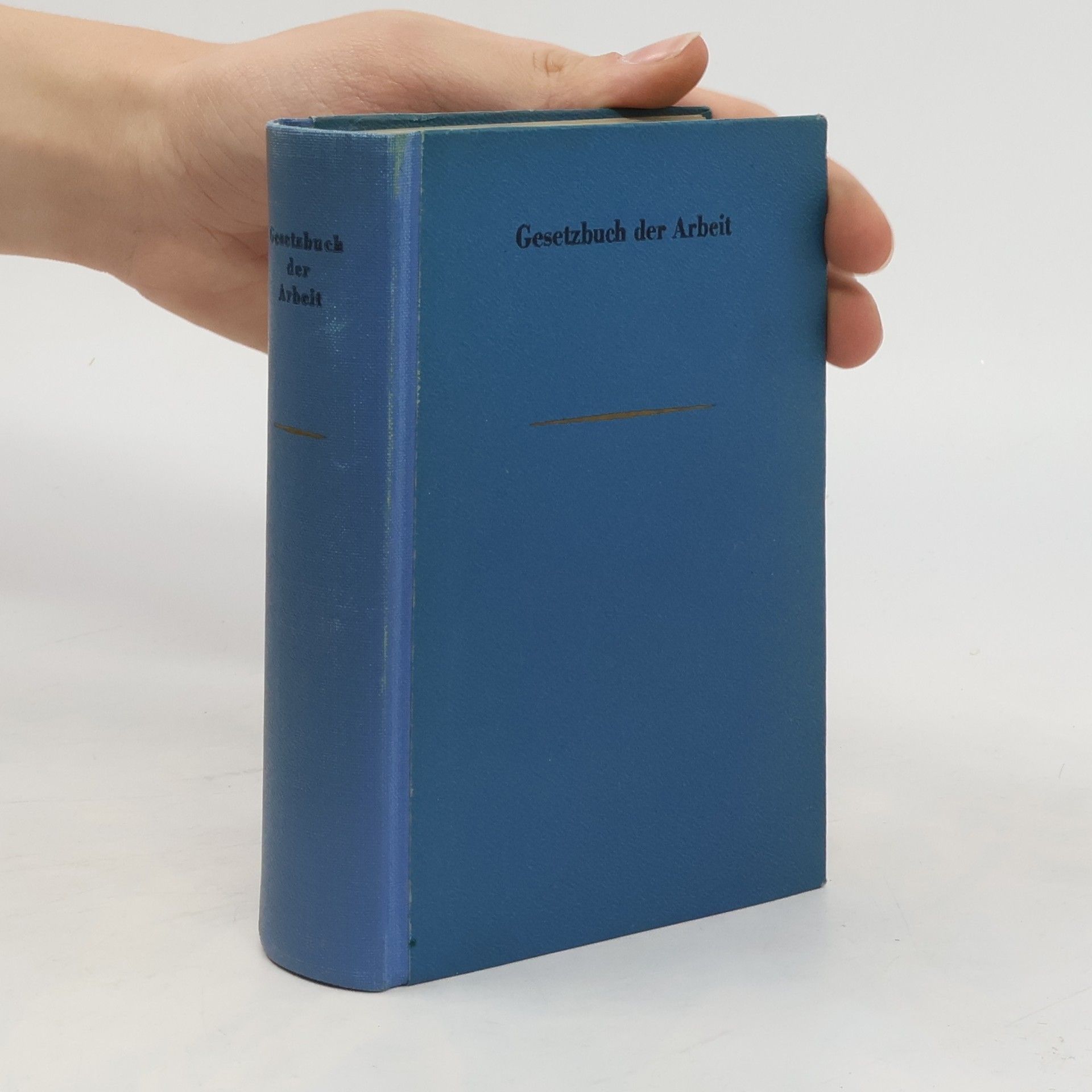 Collectif d'auteurs Gesetzbuch der Arbeit