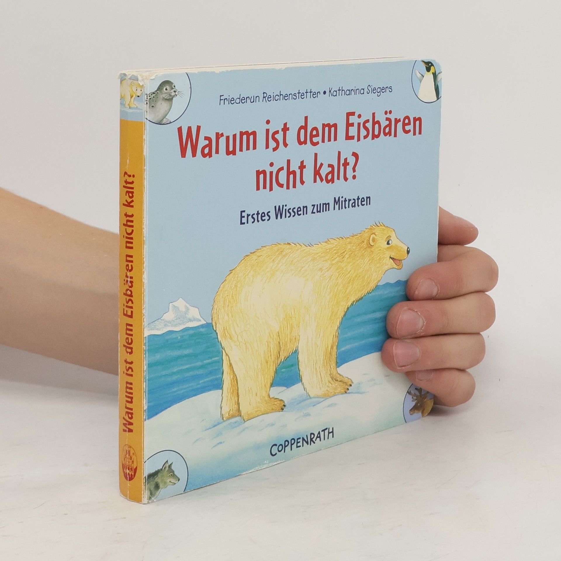 Friederun Reichenstetter Warum ist dem Eisbären nicht kalt?