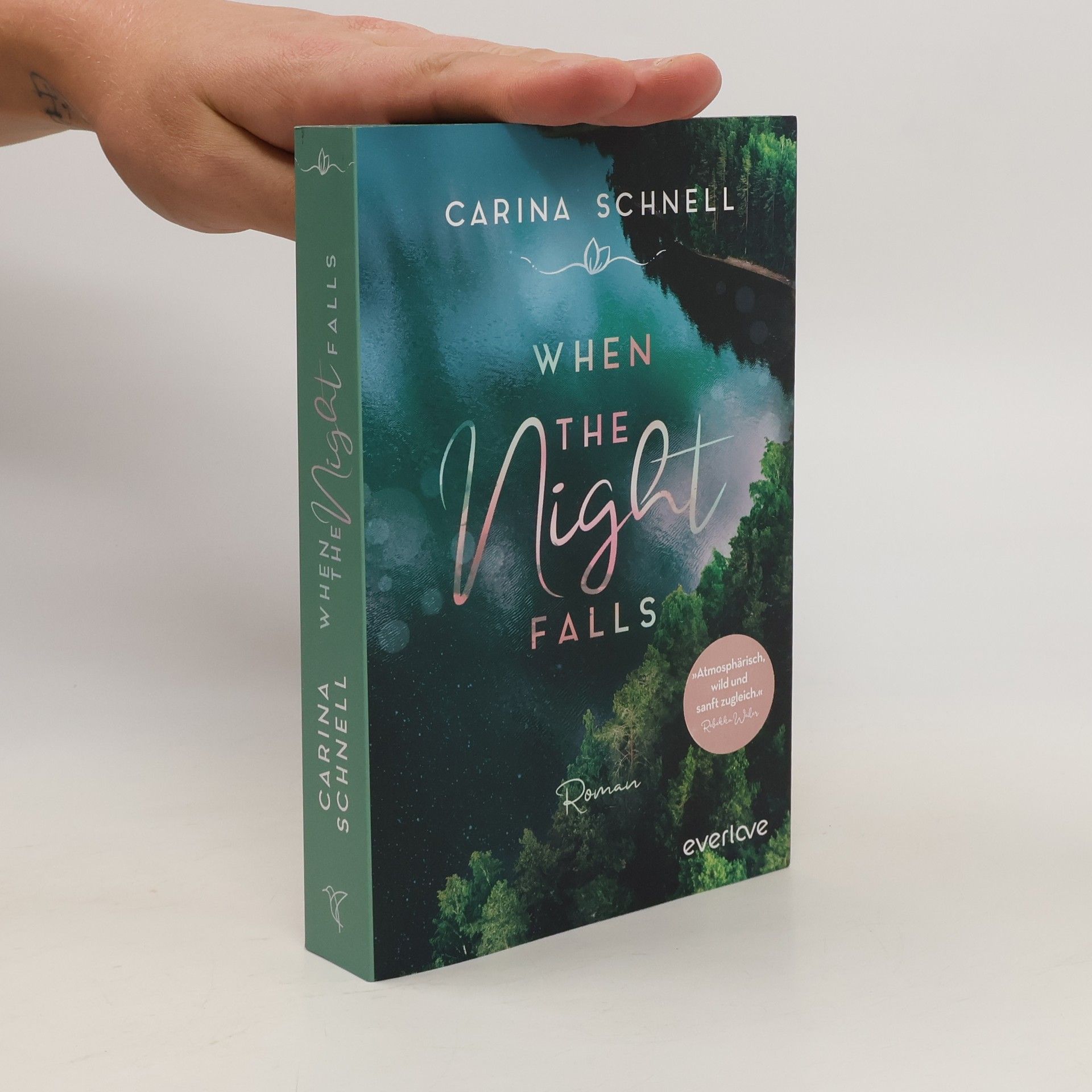 Carina Schnell When the Night Falls