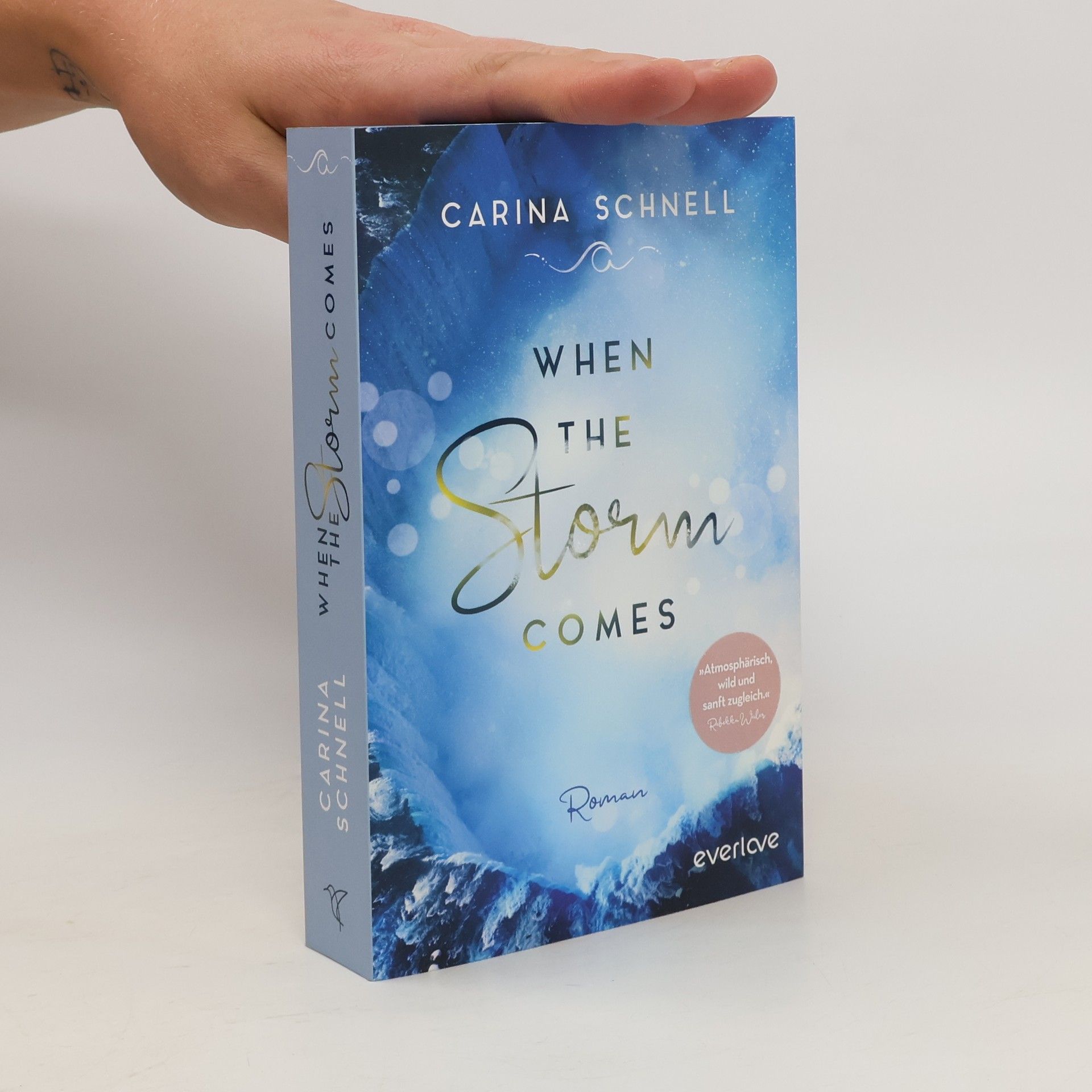Carina Schnell When the storm comes