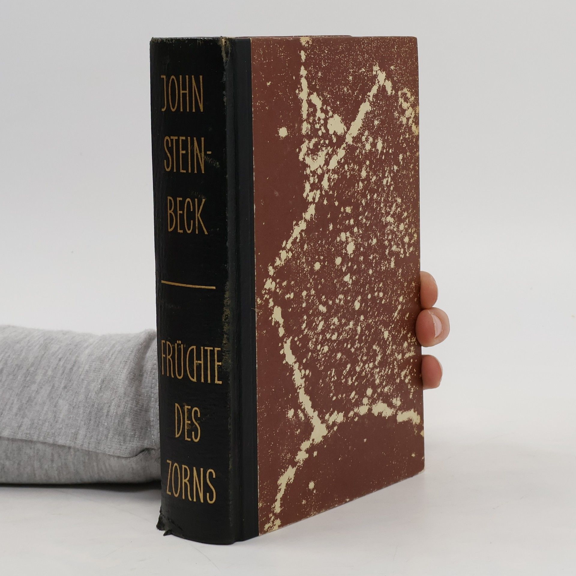 John Steinbeck Früchte des Zorns