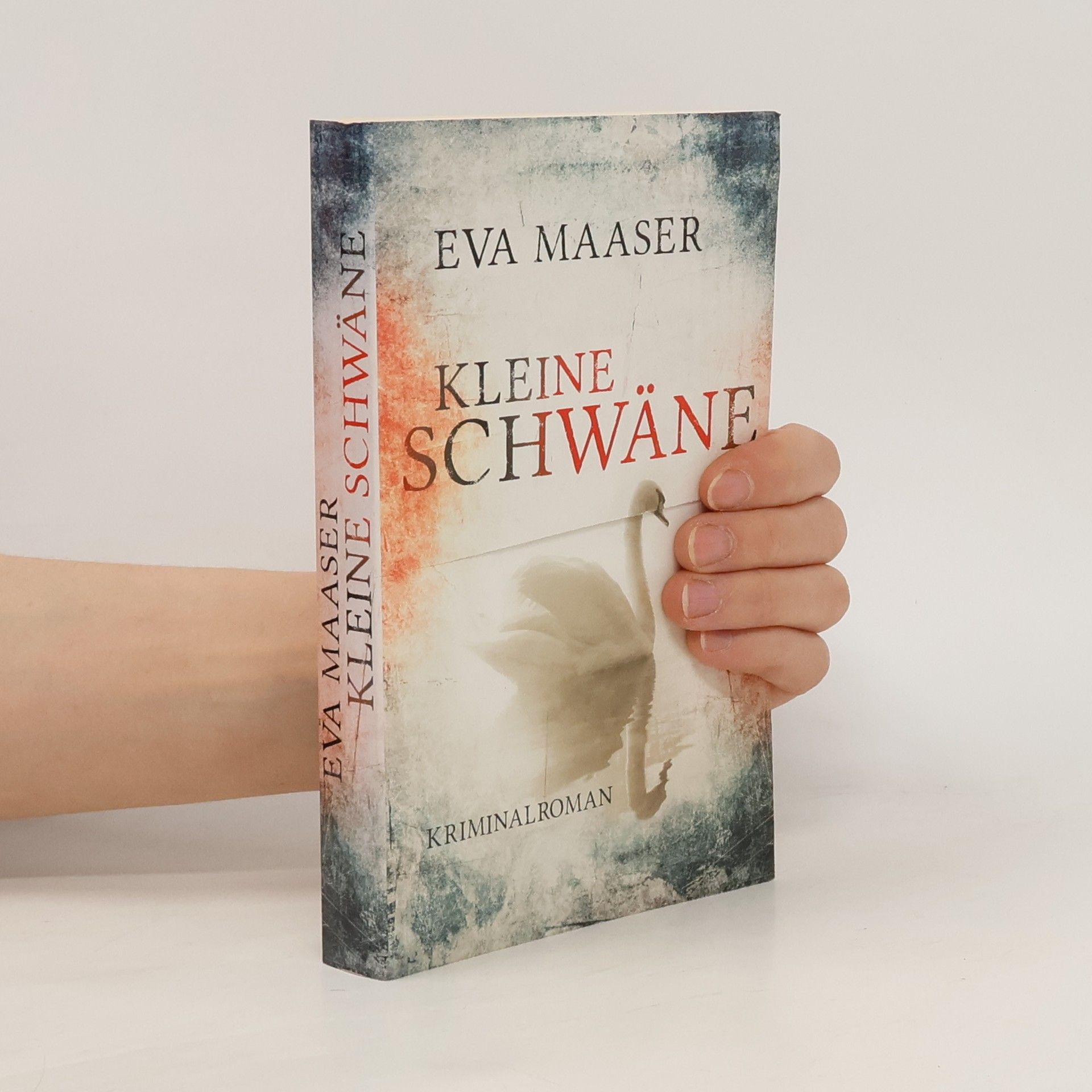 Eva Maaser Kleine Schwäne