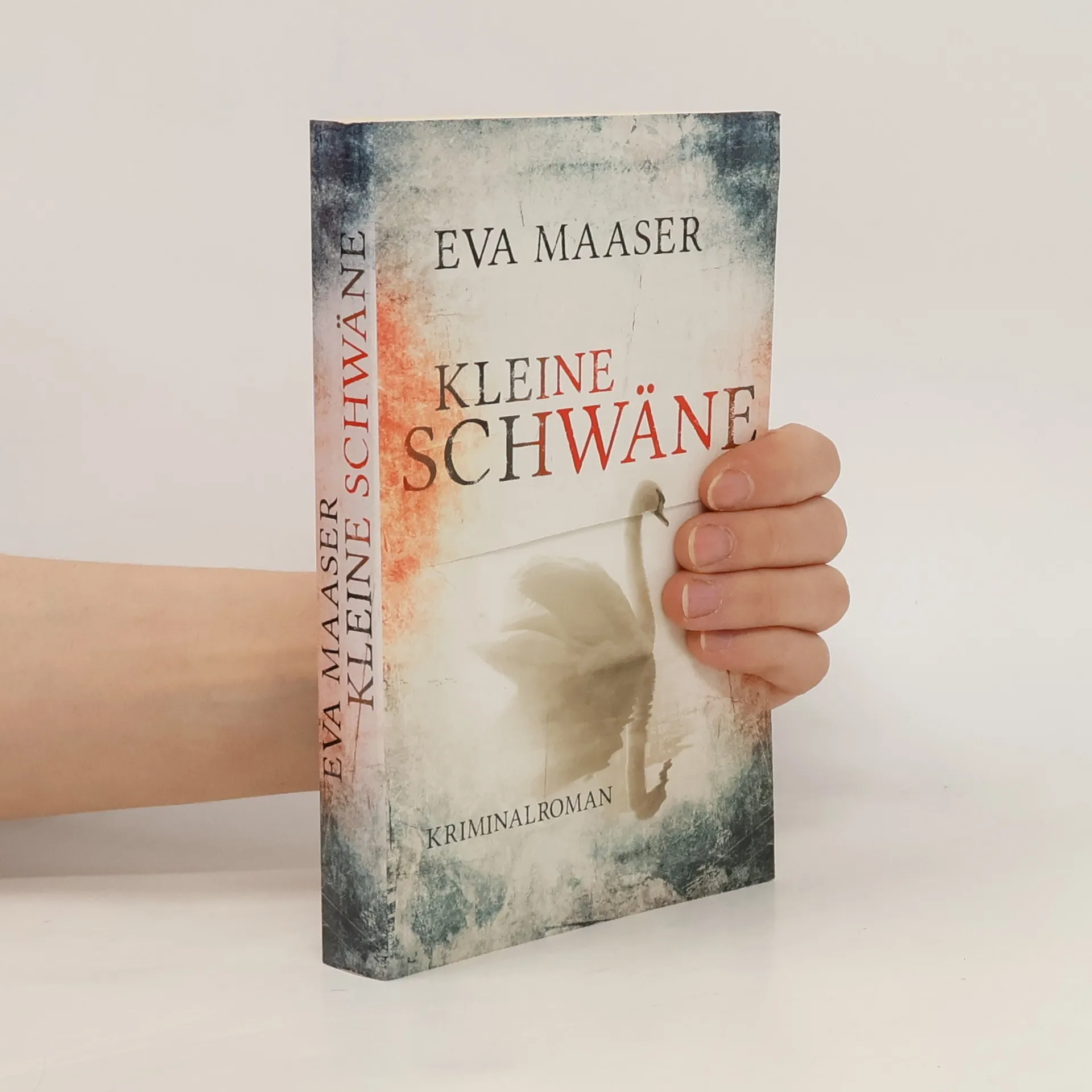 Kleine Schwäne | Book | Paperback | Eva Maaser | DE
