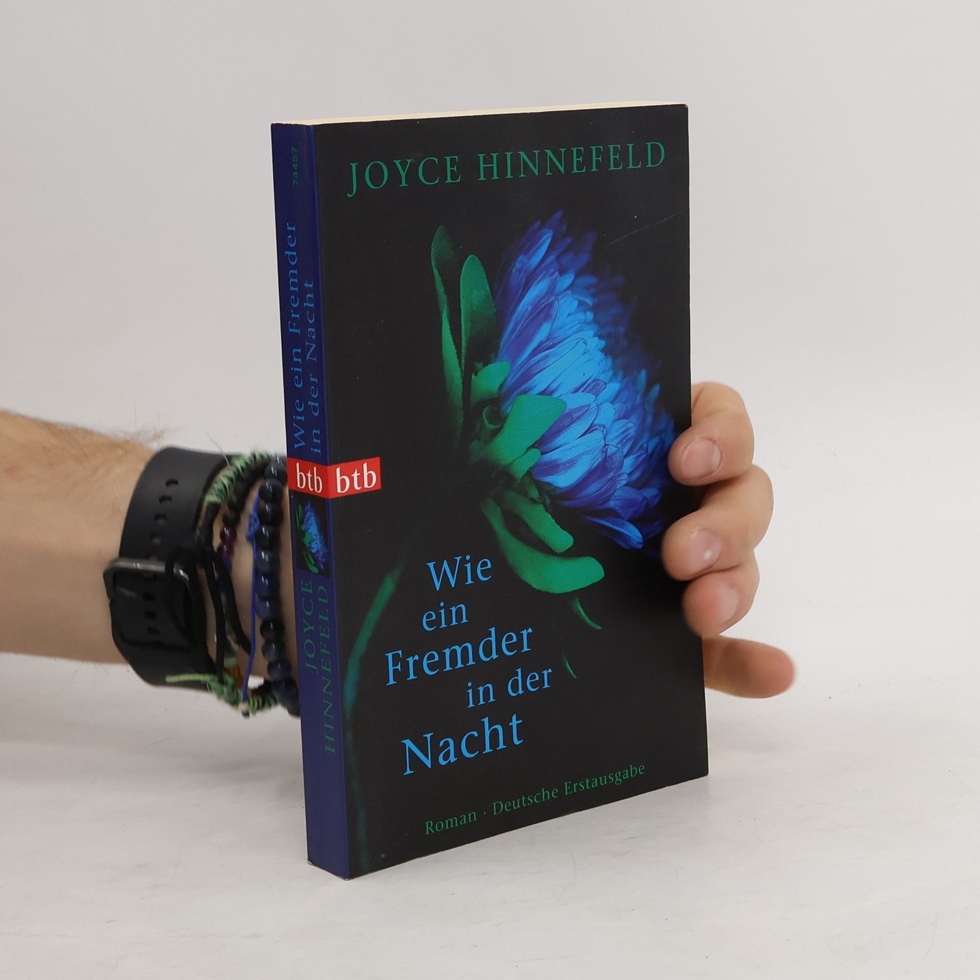 Joyce Hinnefeld Wie ein Fremder in der Nacht