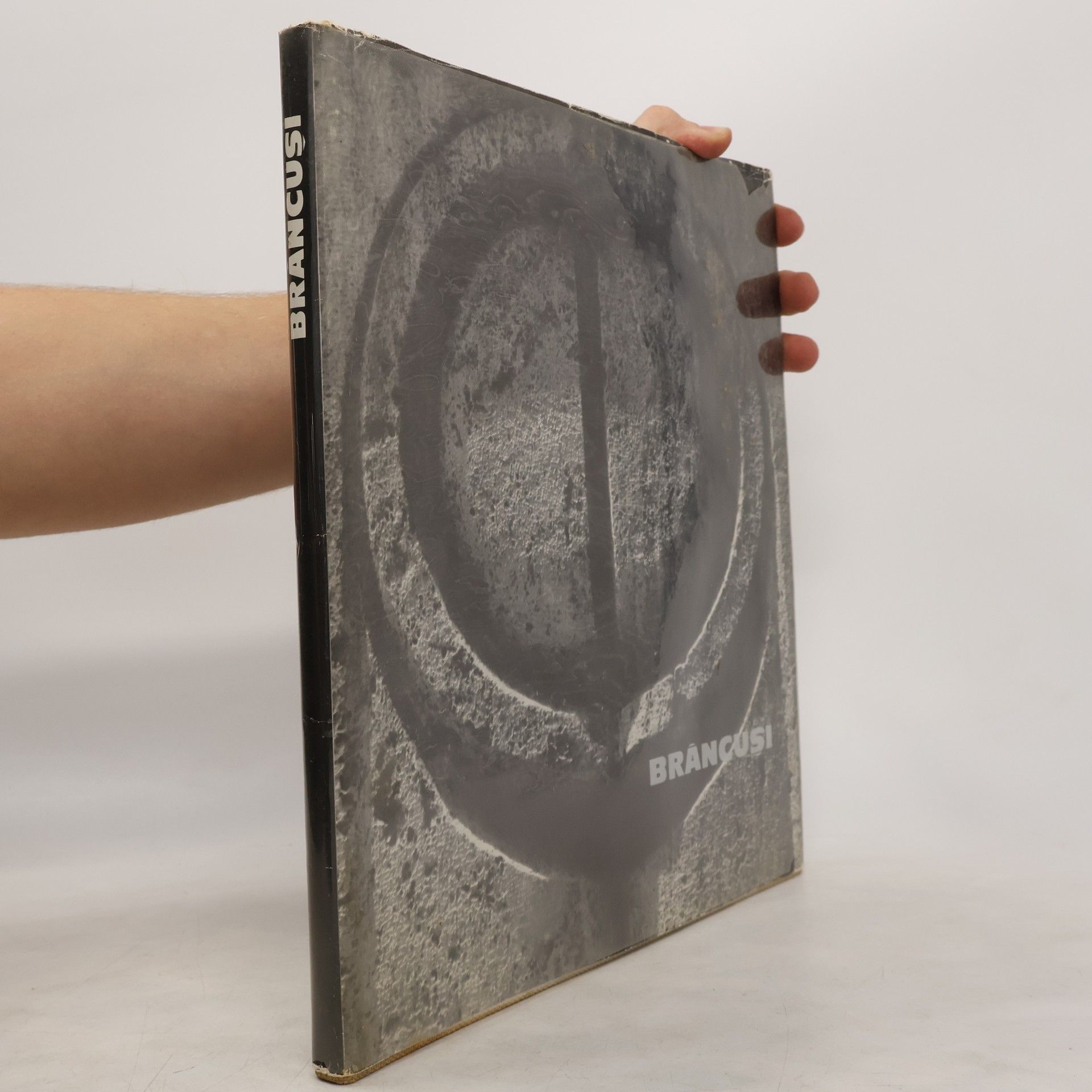 Nicolas Sandulescu Brancusi