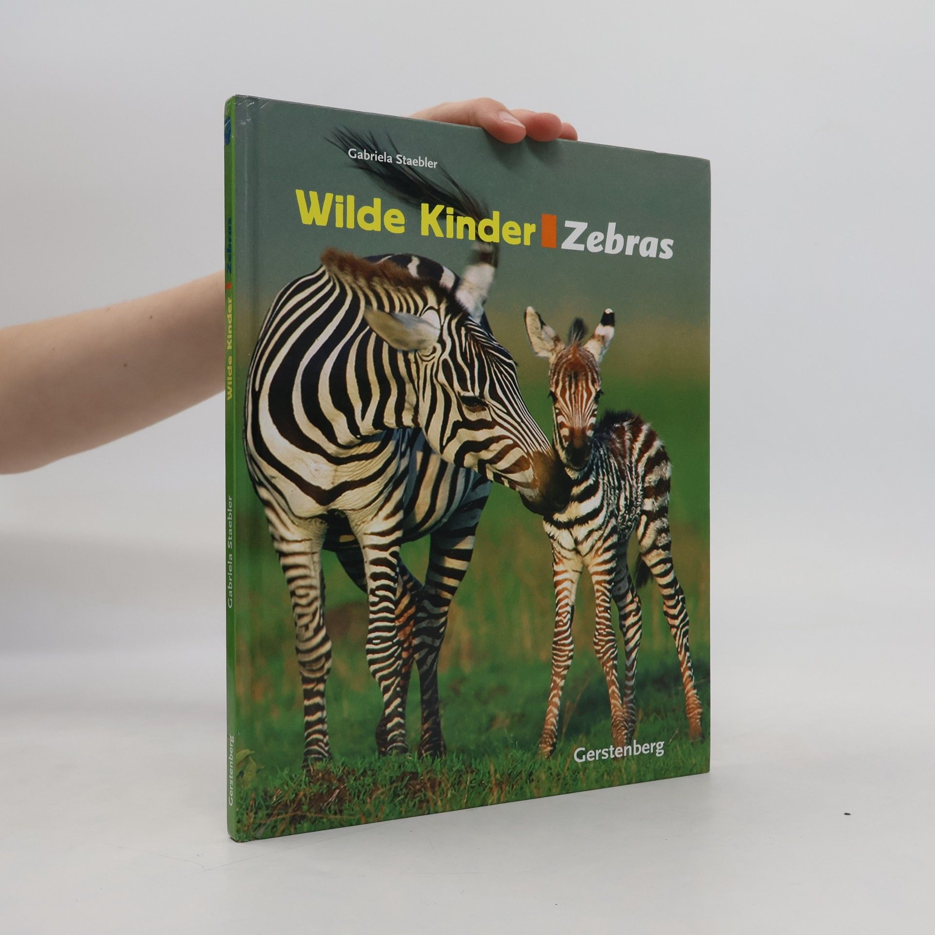 Gabriela Staebler Wilde Kinder - Zebras