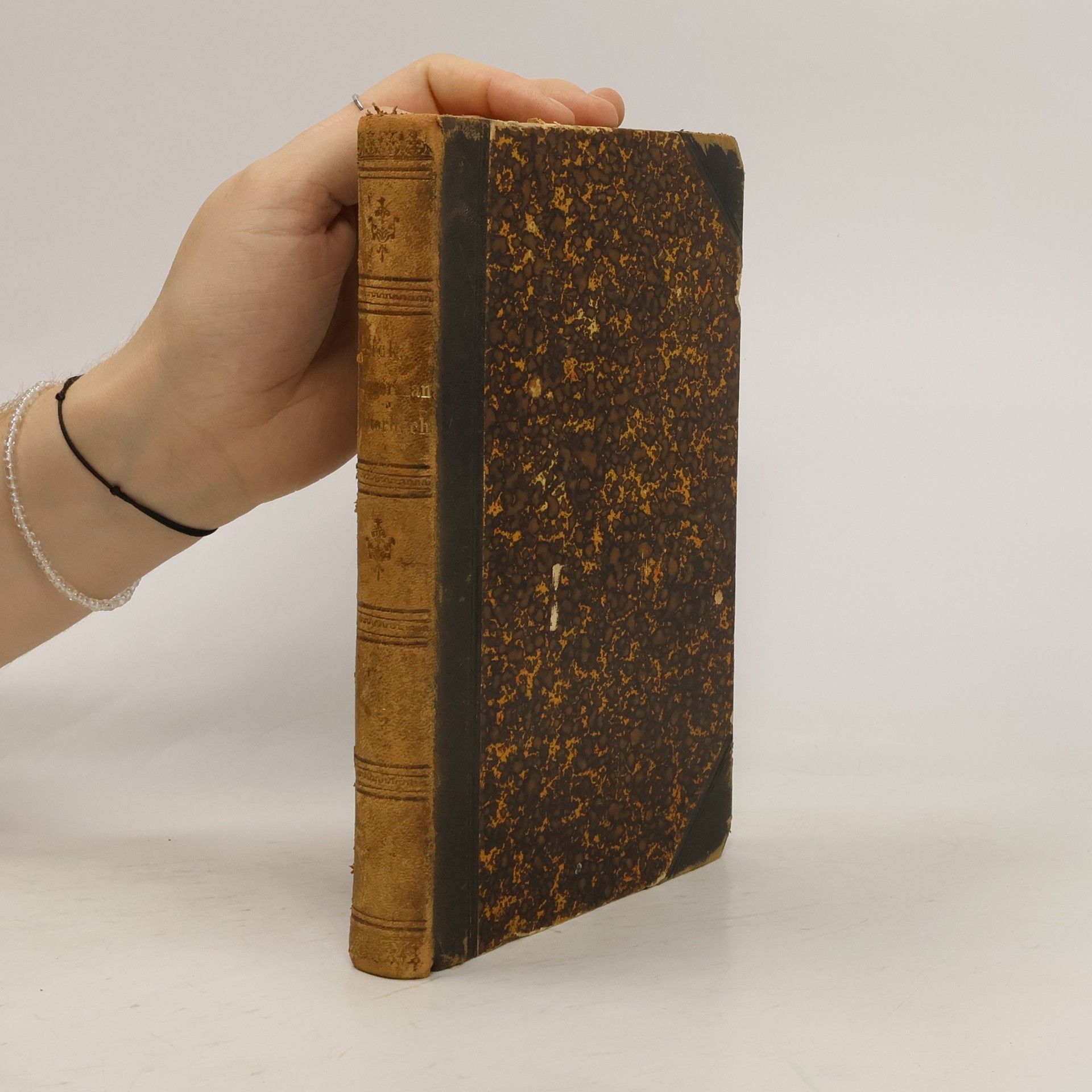 August Fick Vergleichendes Wörterbuch der indogermanischen Sprachen 2