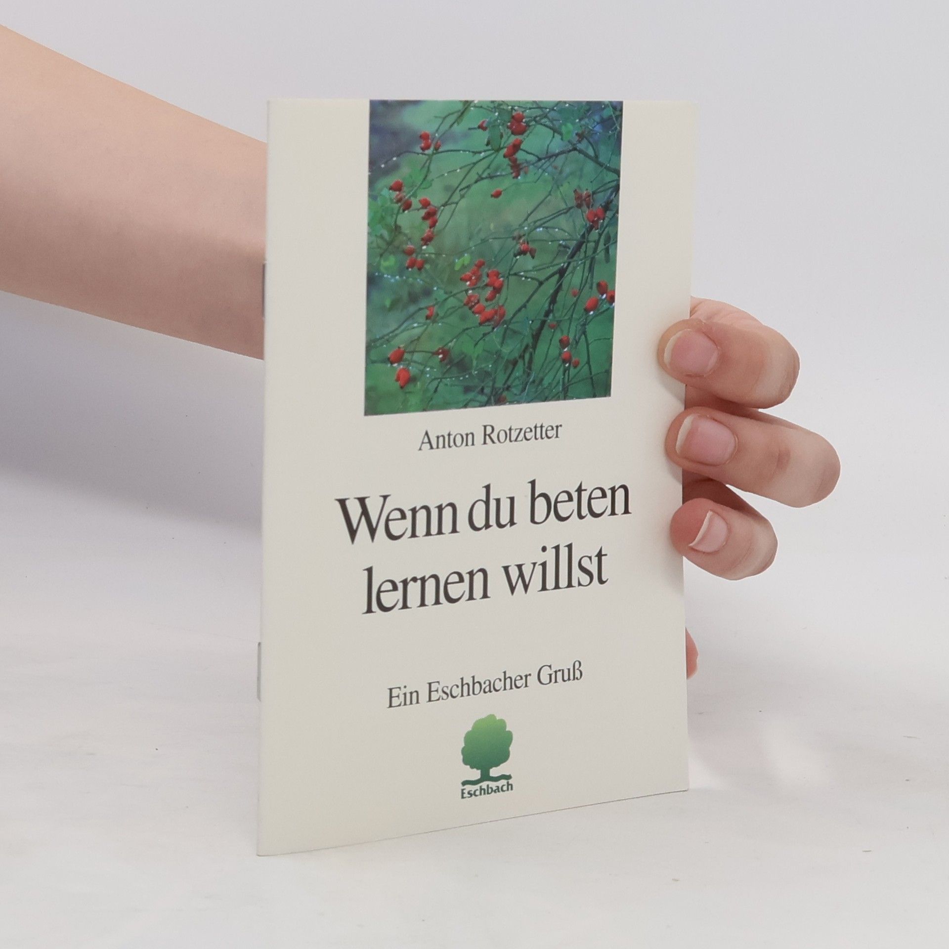 Anton Rotzetter Wenn du beten lernen willst