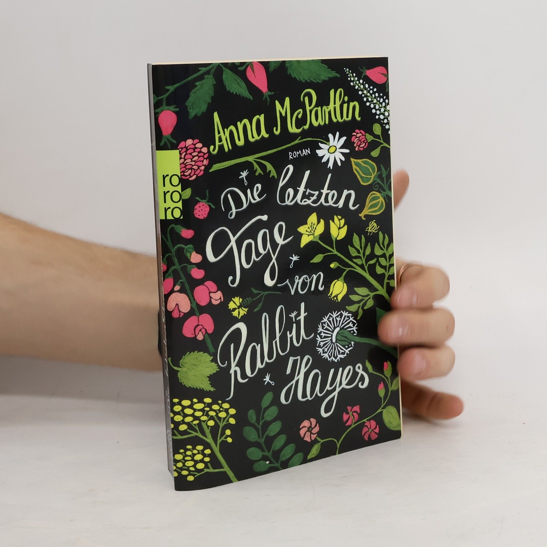 Anna Mc Partlin Die letzten Tage von Rabbit Hayes